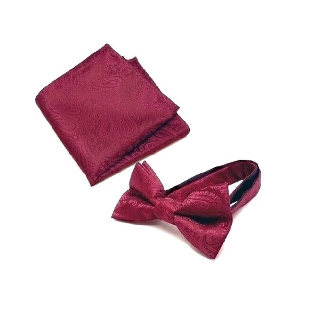 蝶ネクタイ ポケットチーフ 2点セット ペイズリー  mpc-set |  | 05