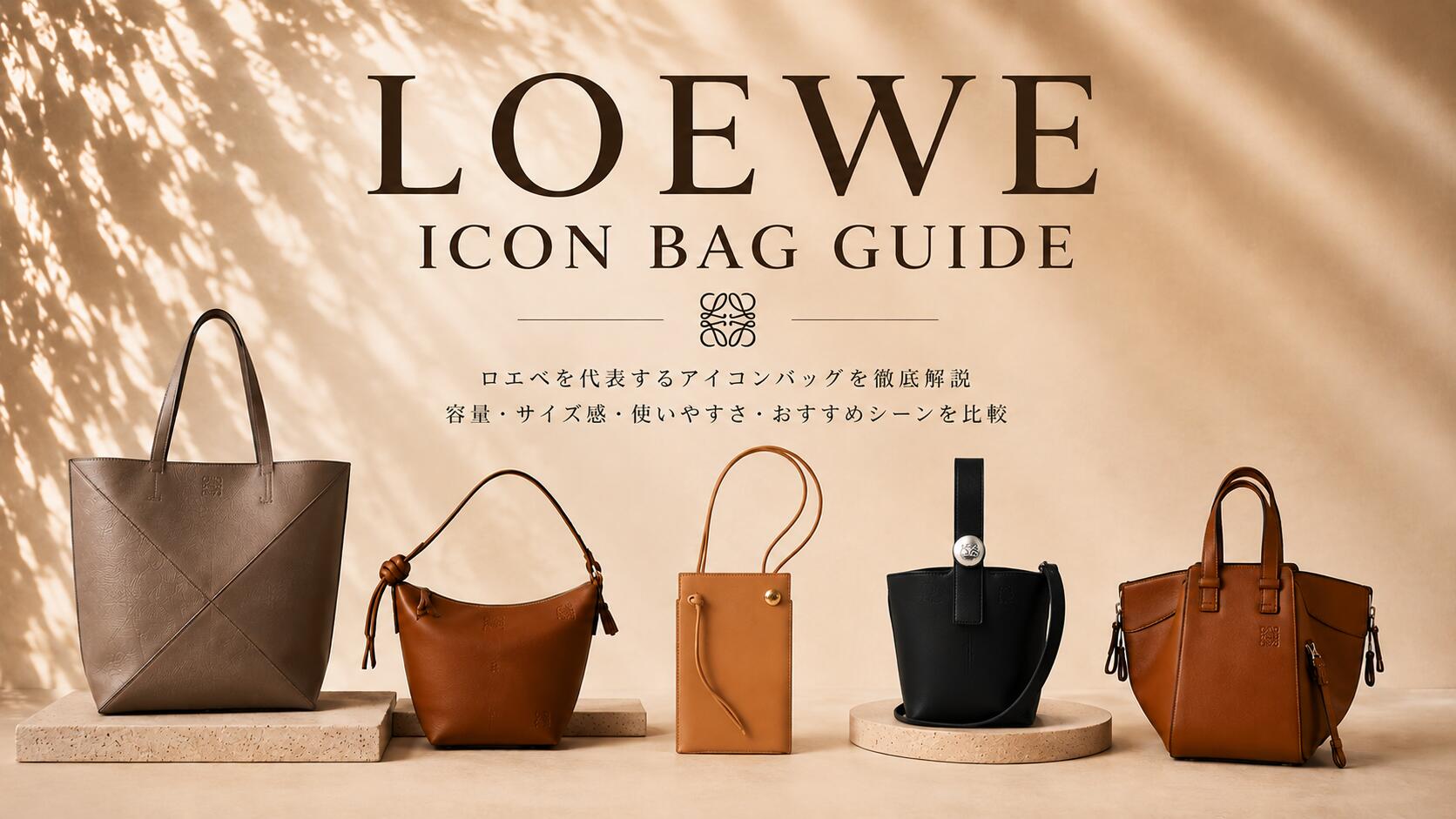 LOEWE（ロエベ） 【ポイント3倍・再入荷予定なし】LOEWE カードケース