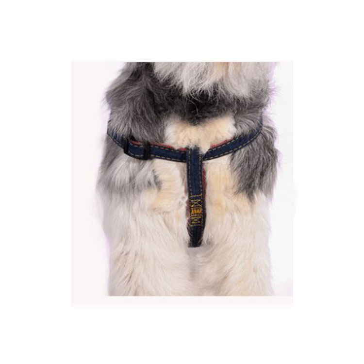 犬 ハーネス リード セット おしゃれ かわいい 3色 小型犬 : Select