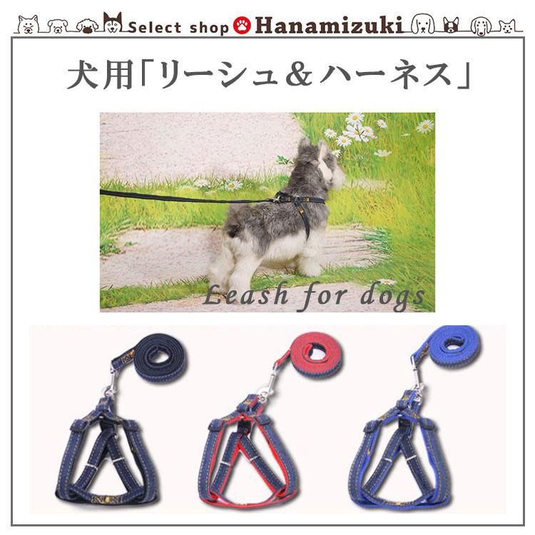 犬 ハーネス リード セット おしゃれ かわいい 3色 小型犬 : Select