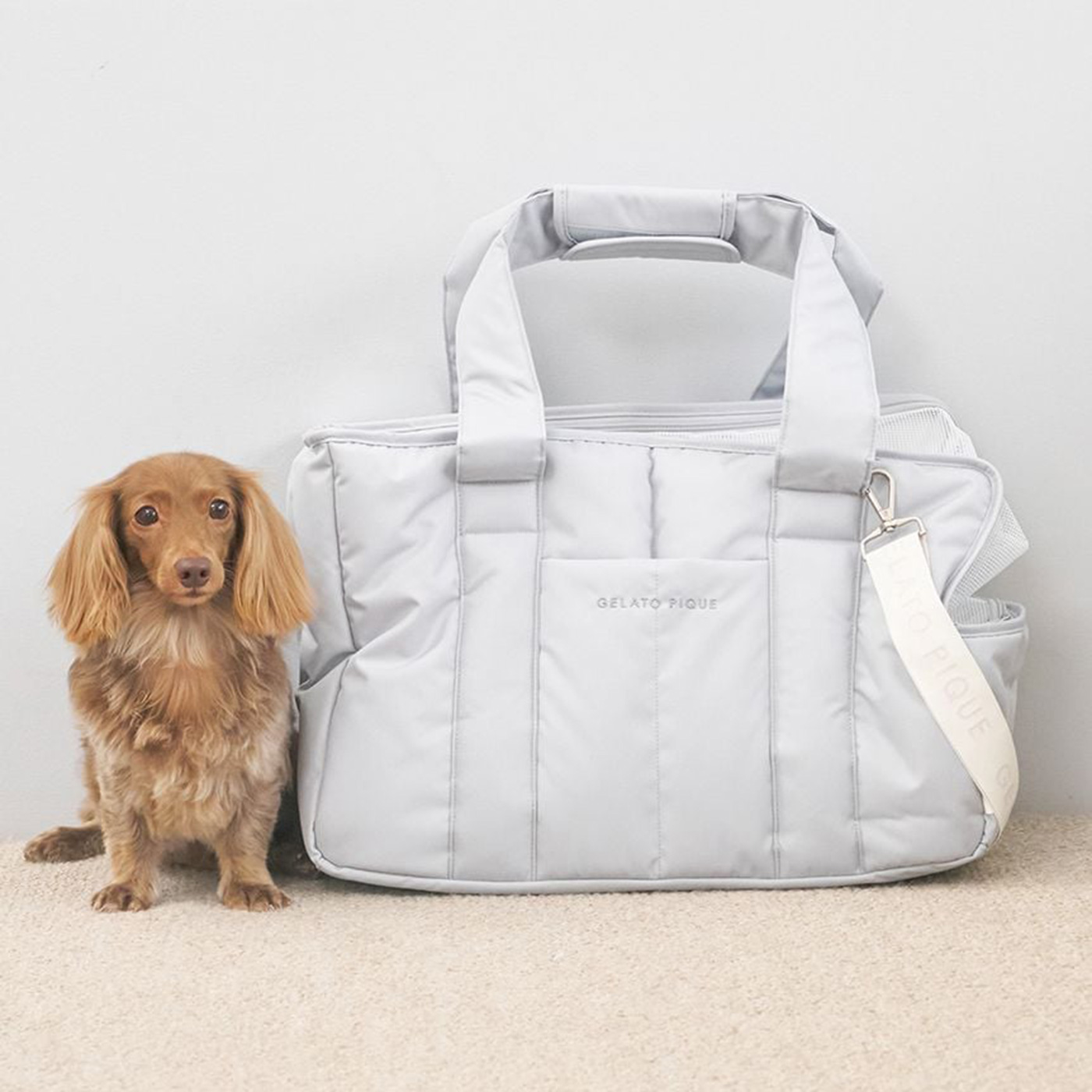 GELATO PIQUE 犬用キャリーバッグ 小型犬用 gelato pique ペットキャリー 「CAT＆DOG」「販路限定商品」ミニ