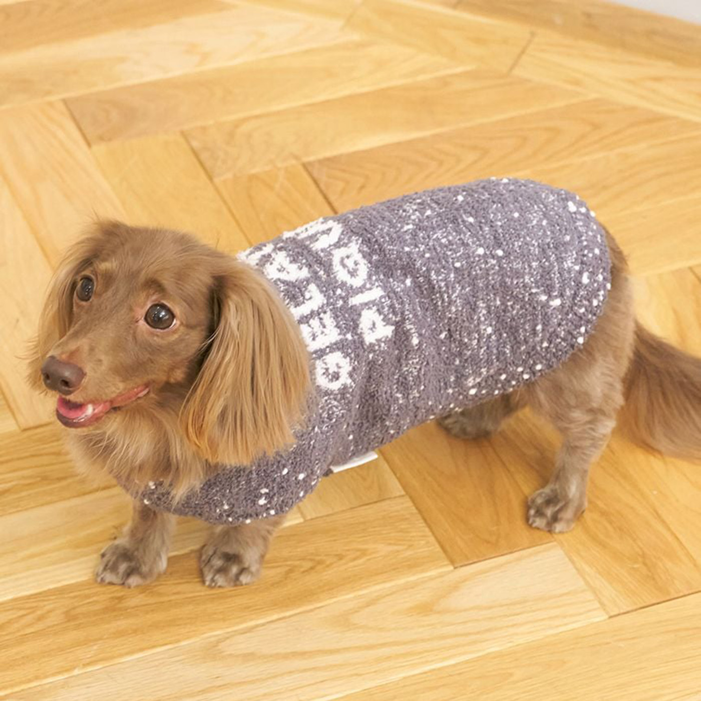 gelato pique（ジェラートピケ） CAT&DOG 販路限定商品 ベビモコネップ