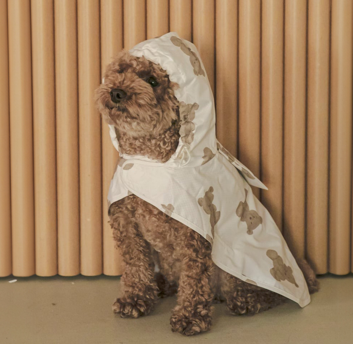 gelato pique（ジェラートピケ） CAT&DOG レインポンチョ pagg242573