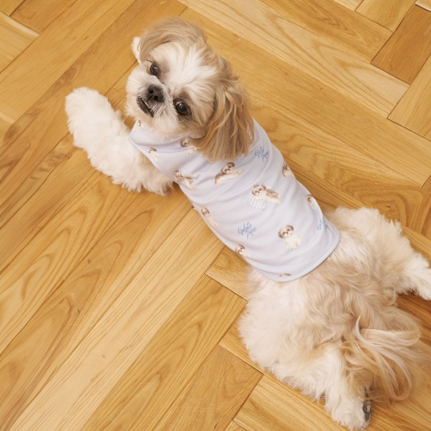 gelato pique（ジェラートピケ） CAT&DOG シーズー柄プルオーバー