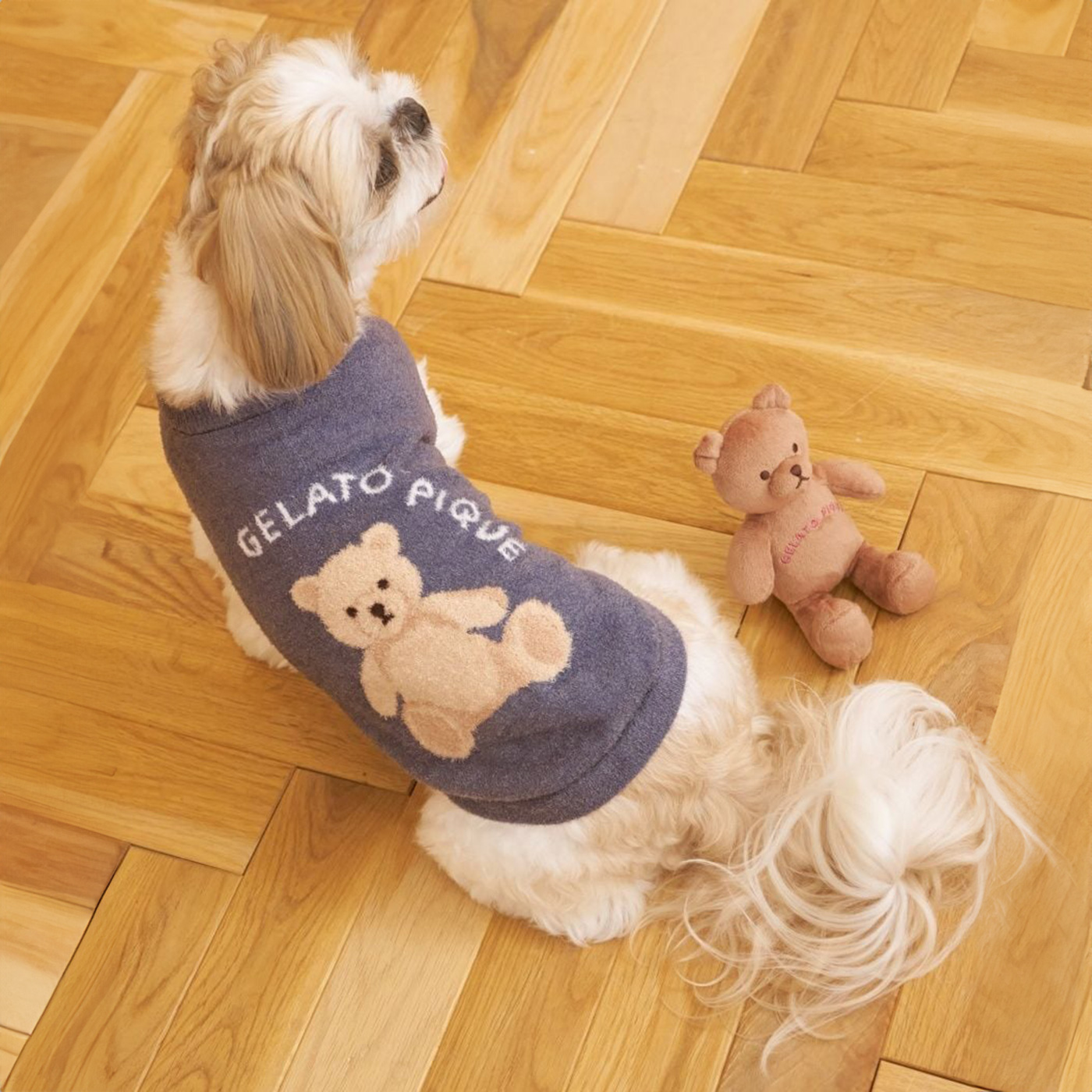 【新品】ジェラートピケ　犬用ウェア　2枚セット gelato pique（ジェラートピケ） CAT&DOG ベアジャガードプルオーバー