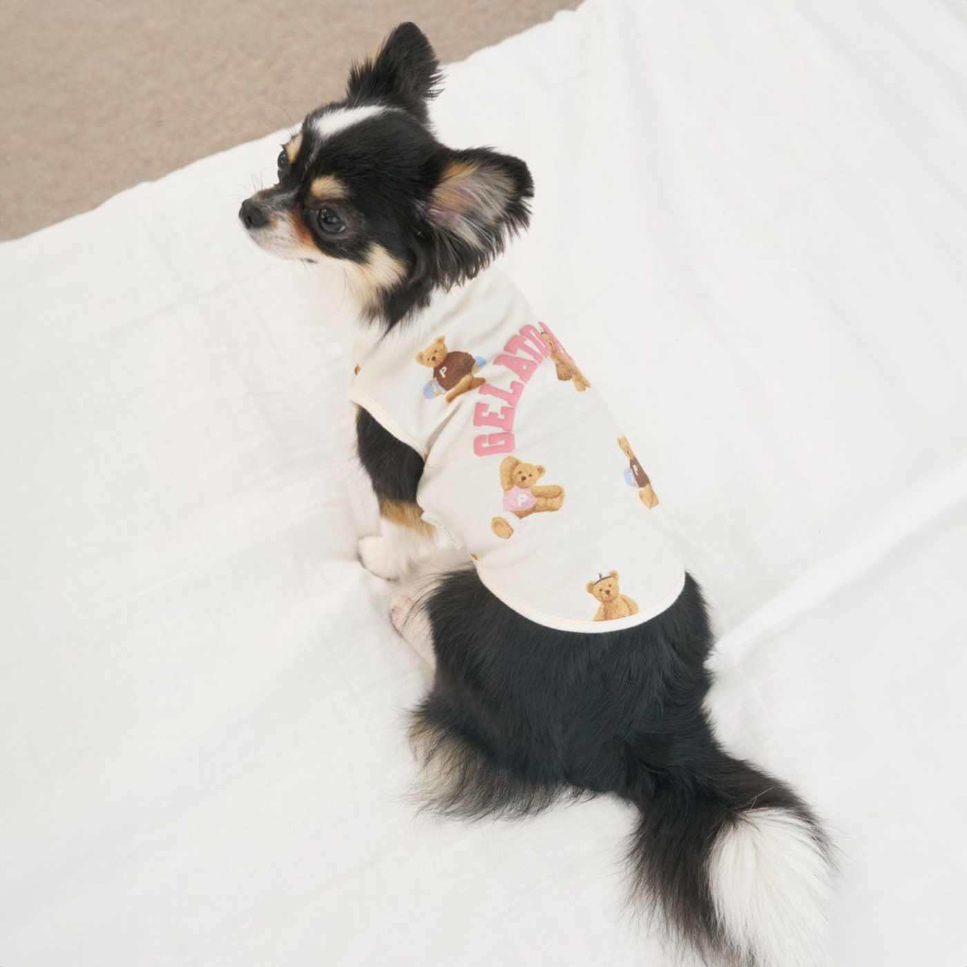 gelato pique ジェラートピケ CAT&DOG スポーティーベア柄