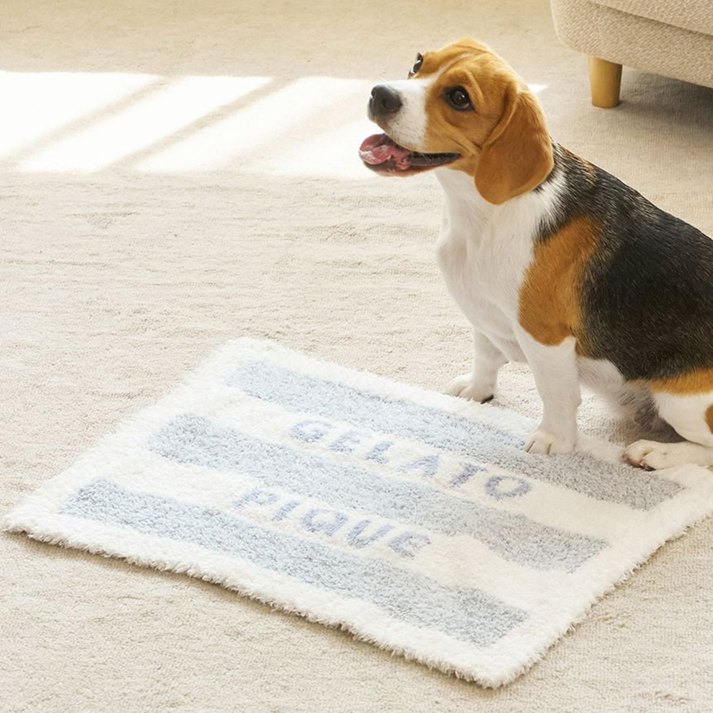 gelato pique（ジェラートピケ） CAT&DOG ジェラートメランジ2ボーダー