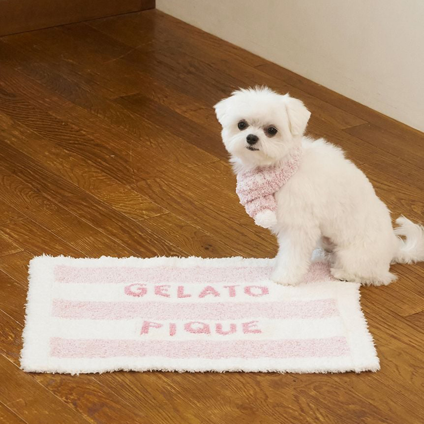 gelato pique（ジェラートピケ） CAT&DOG ジェラートメランジ2ボーダー