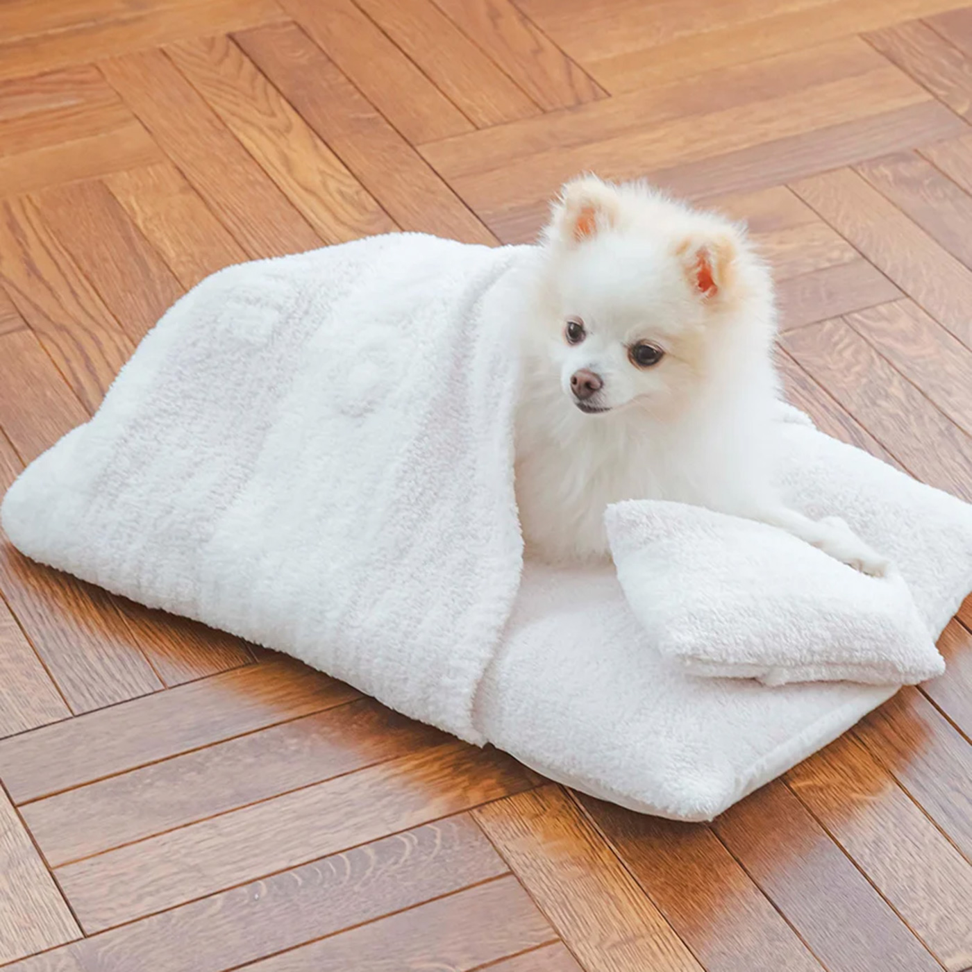 gelato pique（ジェラートピケ） CAT&DOG ベビモコおふとんセット
