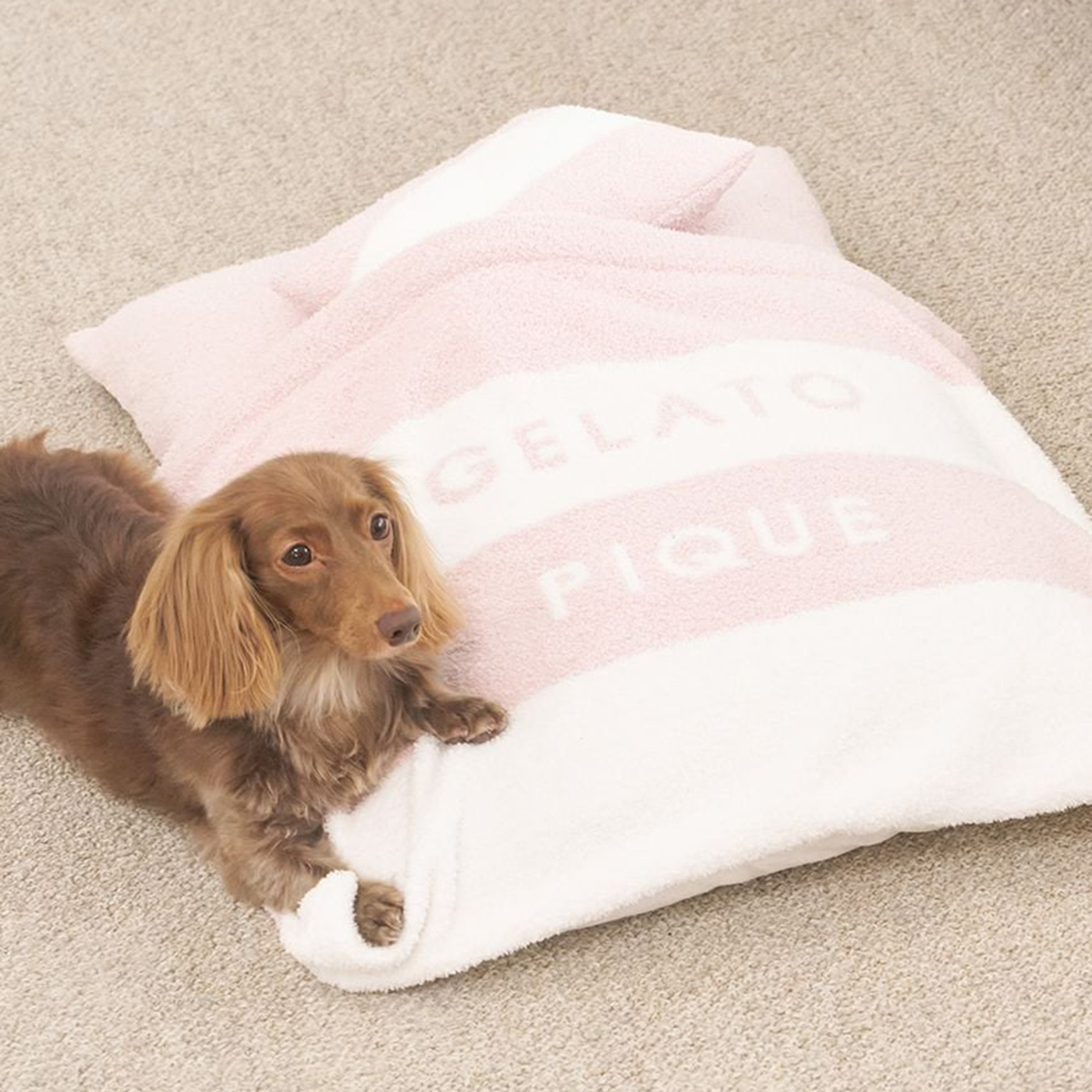 gelato pique（ジェラートピケ） CAT&DOG ベビモコおふとんセットL