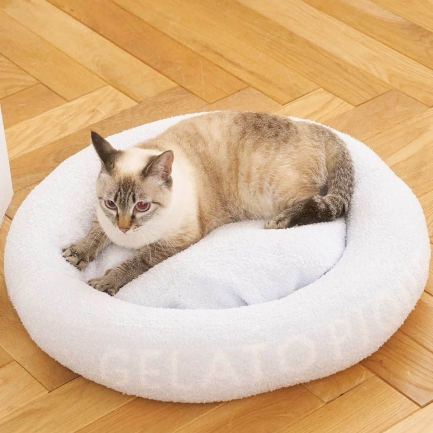 gelato pique（ジェラートピケ） CAT&DOG ベビモコベッドM pagg259111