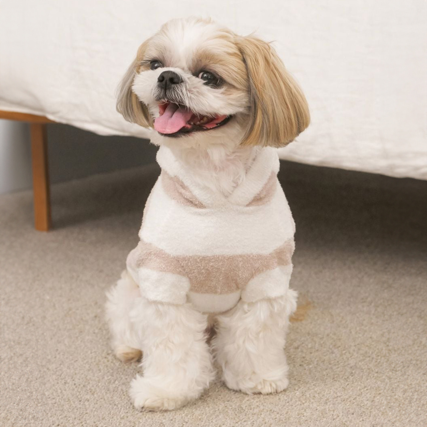 gelato pique（ジェラートピケ） CAT&DOG スムーズィー2ボーダー