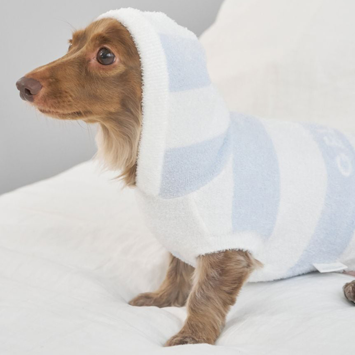 gelato pique（ジェラートピケ） CAT&DOG スムーズィーダックスサイズ