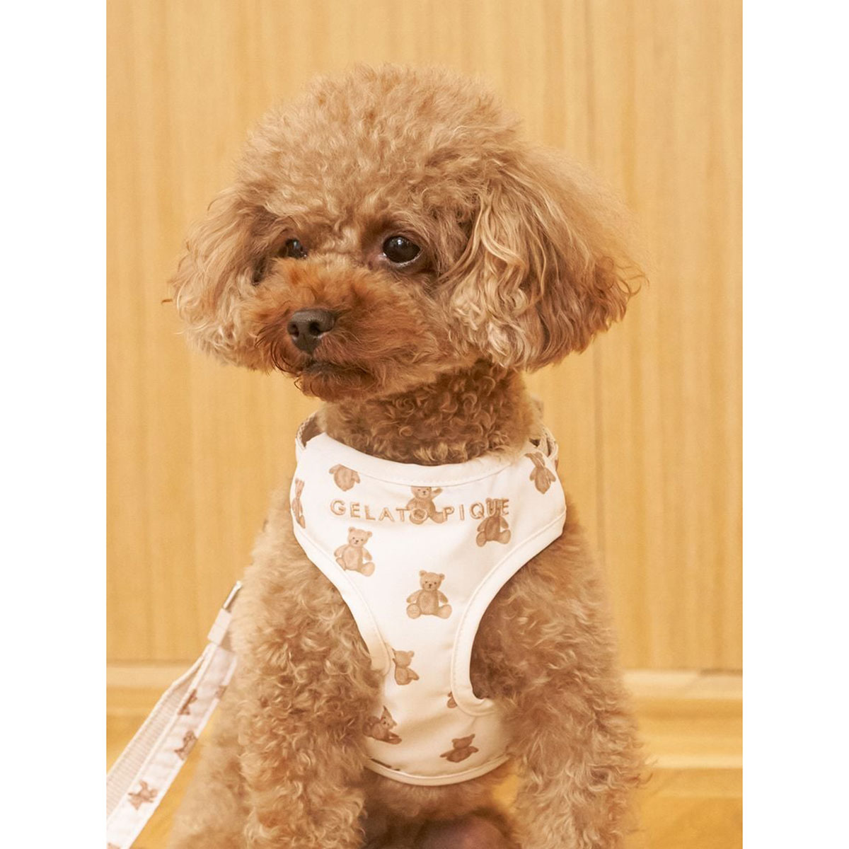 gelato pique（ジェラートピケ） CAT＆DOG 背中あきハーネス