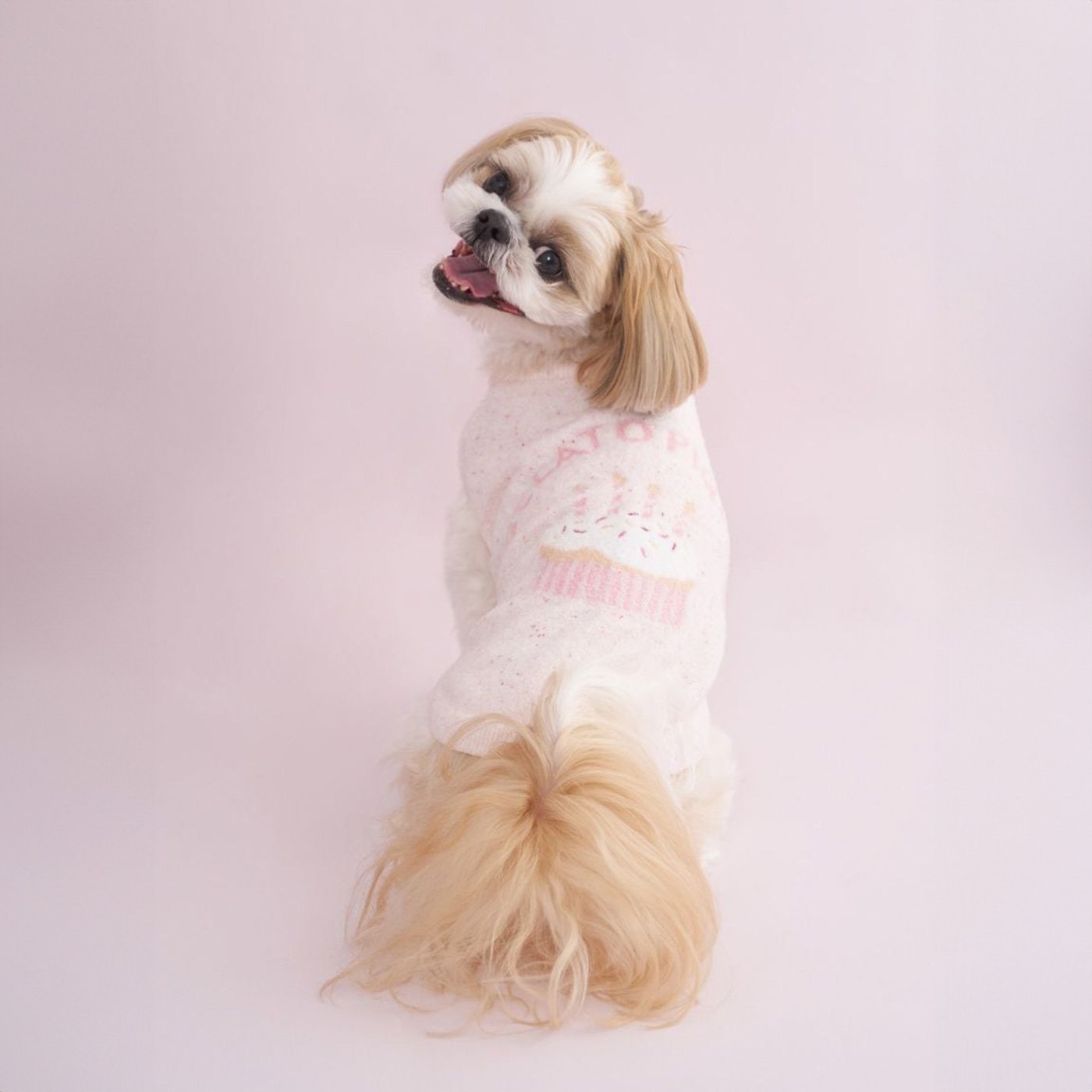 gelato pique ジェラートピケ CAT&DOG Birthday スムーズィー