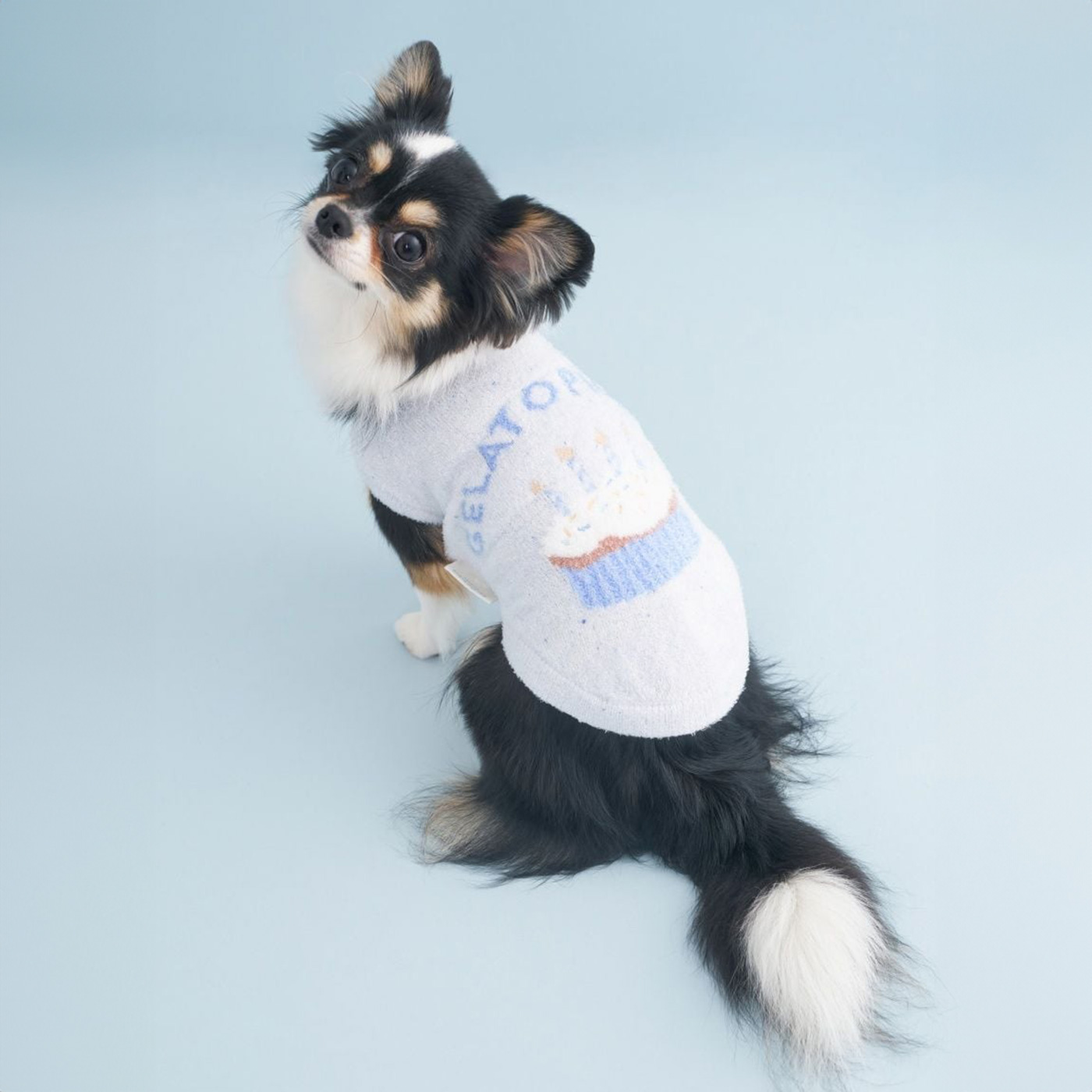 ジェラピケ 犬のおすすめ人気商品一覧 通販 - Yahoo!ショッピング