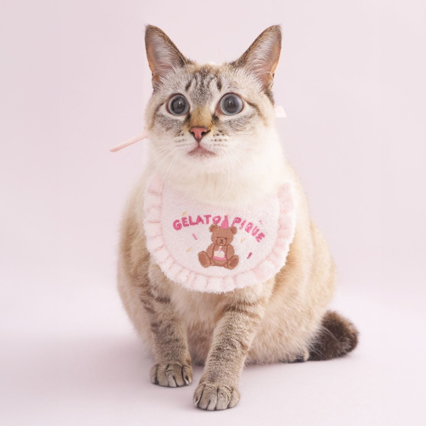 <foxy>GELATO PIQUE ジェラピケ 猫 ルームウェア 冬 新品】ジェラートピケ gelato pique モコモコ猫耳 ルームウェア