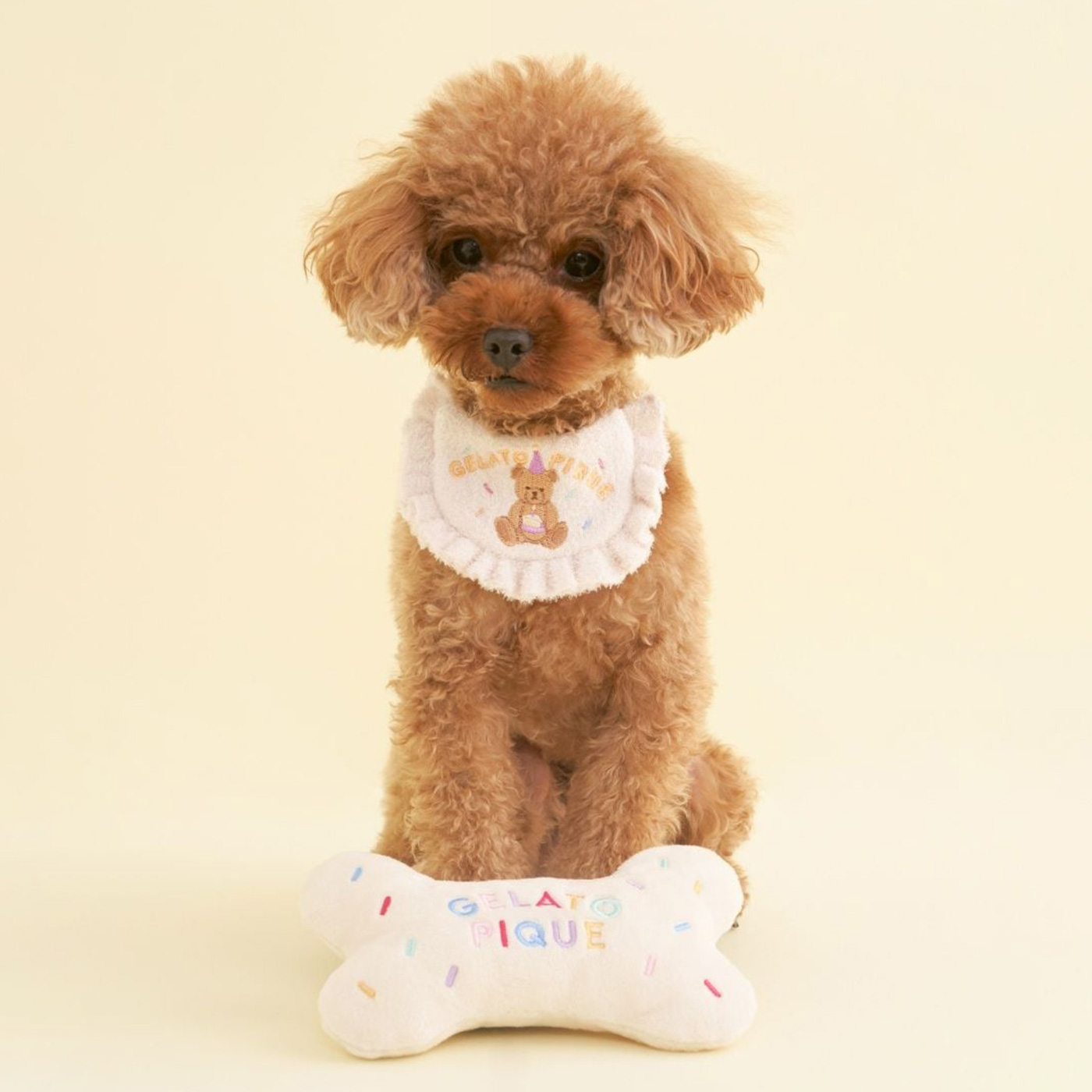 ジェラピケ 犬のおすすめ人気商品一覧 通販 - Yahoo!ショッピング