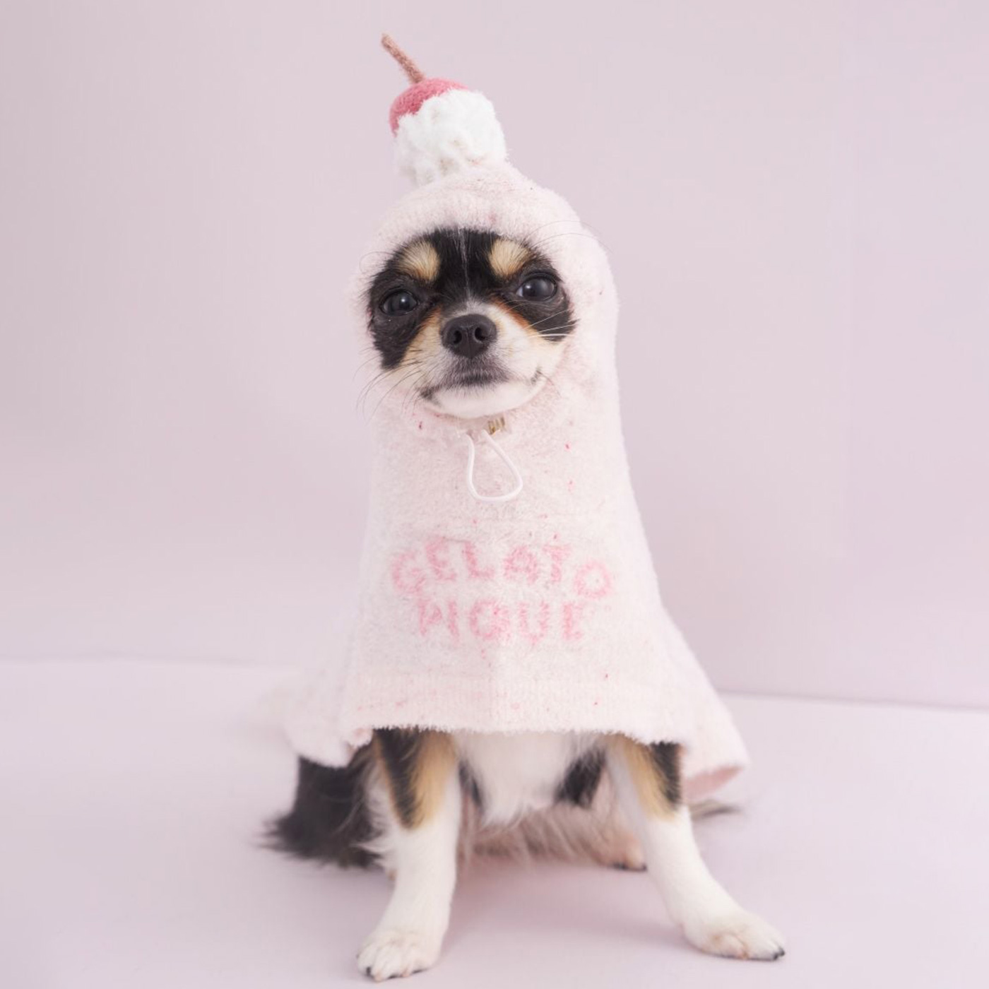 GELATO PIQUE チワワ Chihuahua ルームウェア CAT&DOG】ベビモコチワワジャガードプルオーバー（ペット服