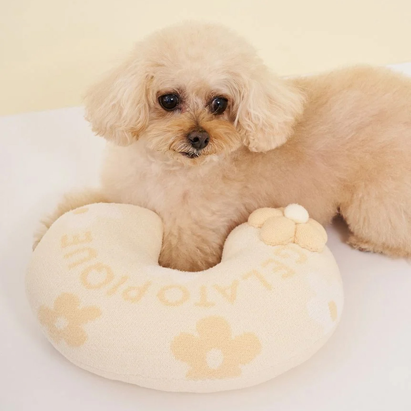 gelato pique（ジェラートピケ） CAT&DOG スムーズィーフラワー