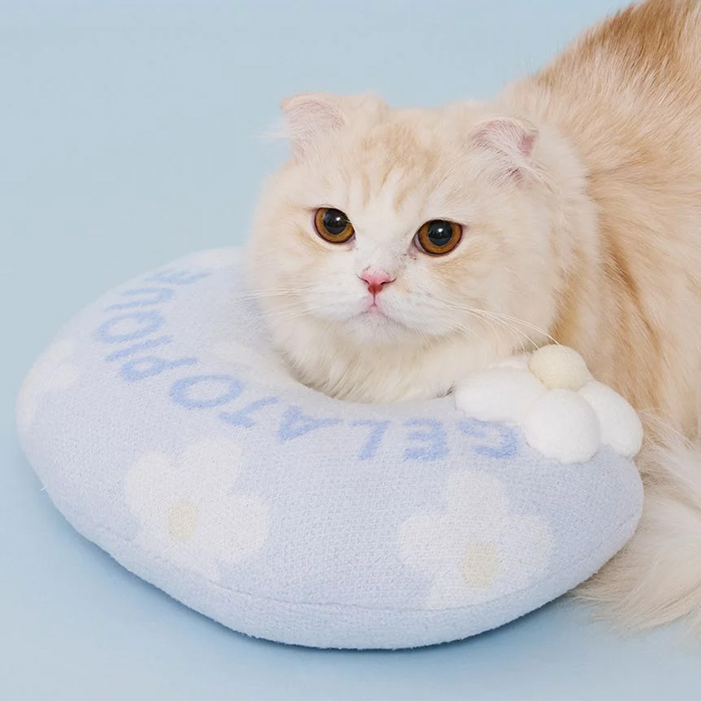 gelato pique（ジェラートピケ） CAT&DOG スムーズィーフラワー