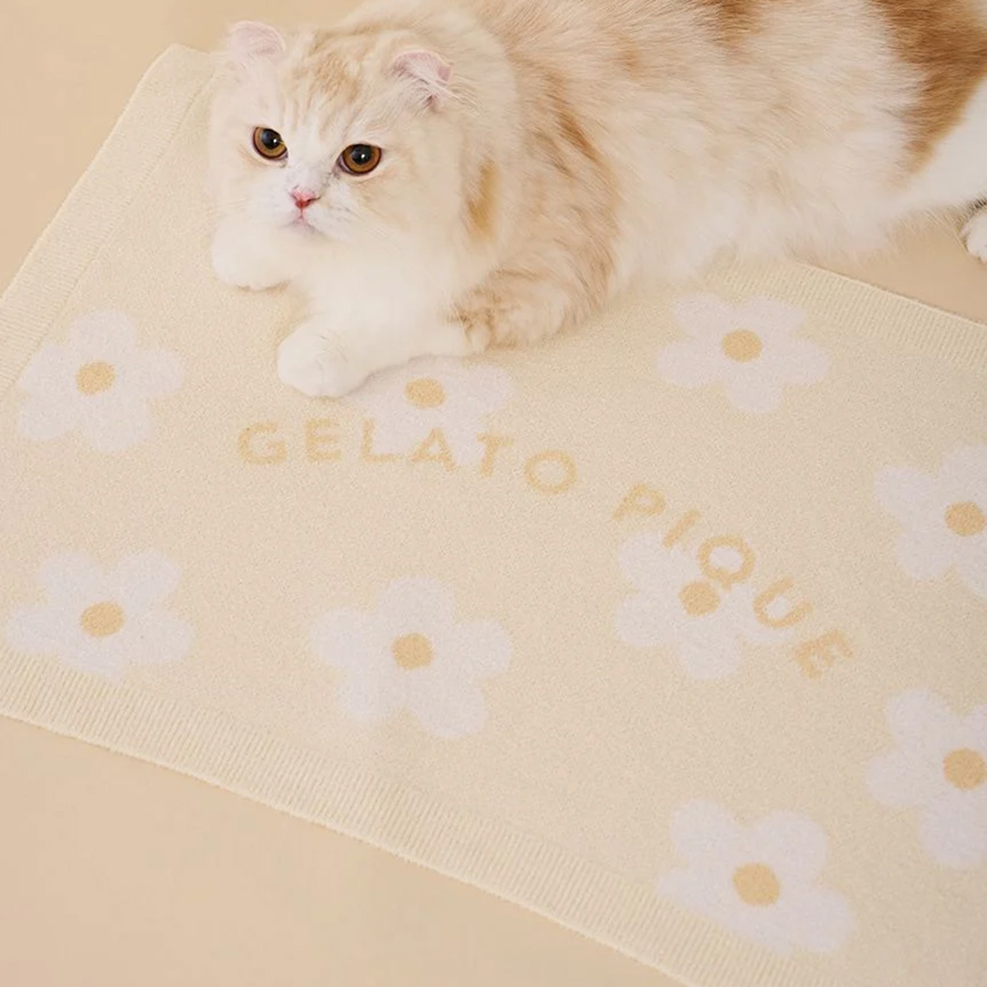 gelato pique（ジェラートピケ） CAT&DOG スムーズィーフラワー