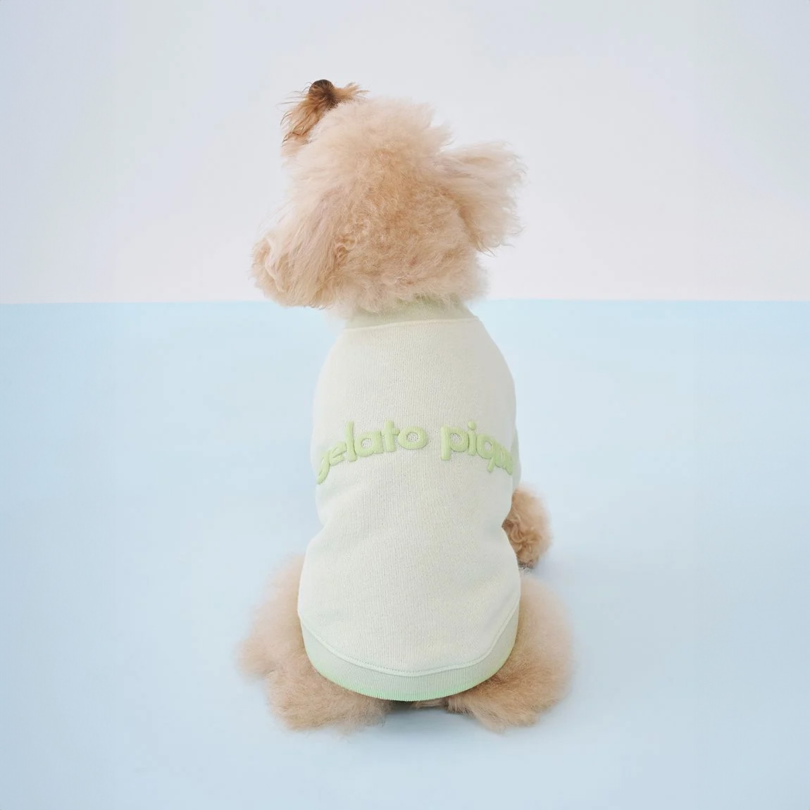 gelato pique（ジェラートピケ） CAT&DOG ロゴプリント裏毛プル