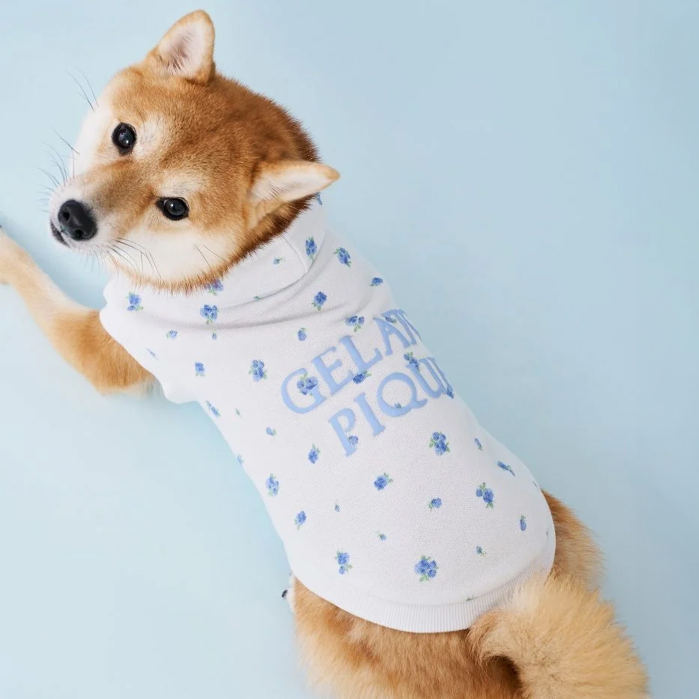 gelato pique（ジェラートピケ） gelato pique CAT&DOG フラワー柄裏毛