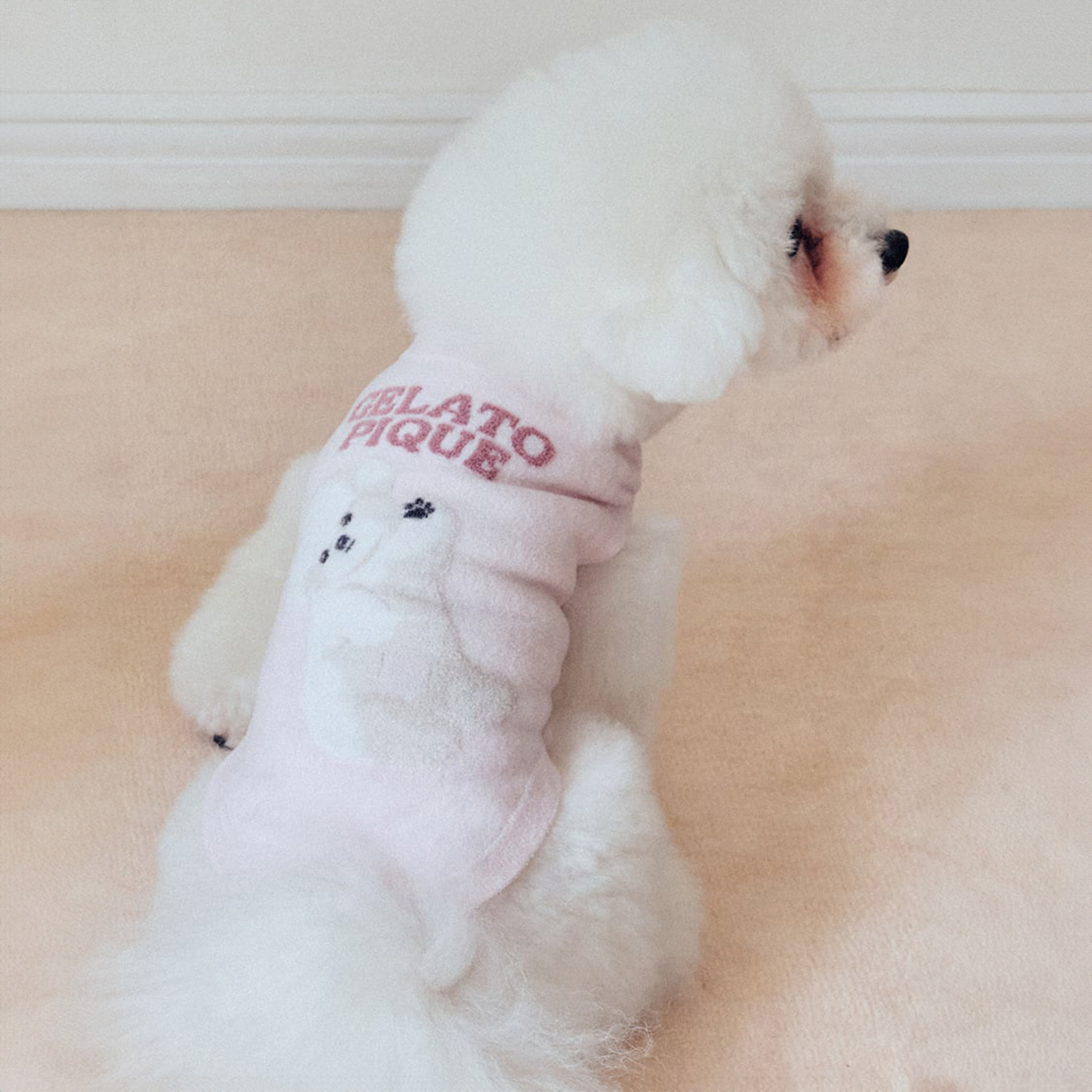 新品⭐︎ジェラートピケドッグジャガードプルオーバー gelato pique（ジェラートピケ） パジャマ 「ONLINE限定カラーあり