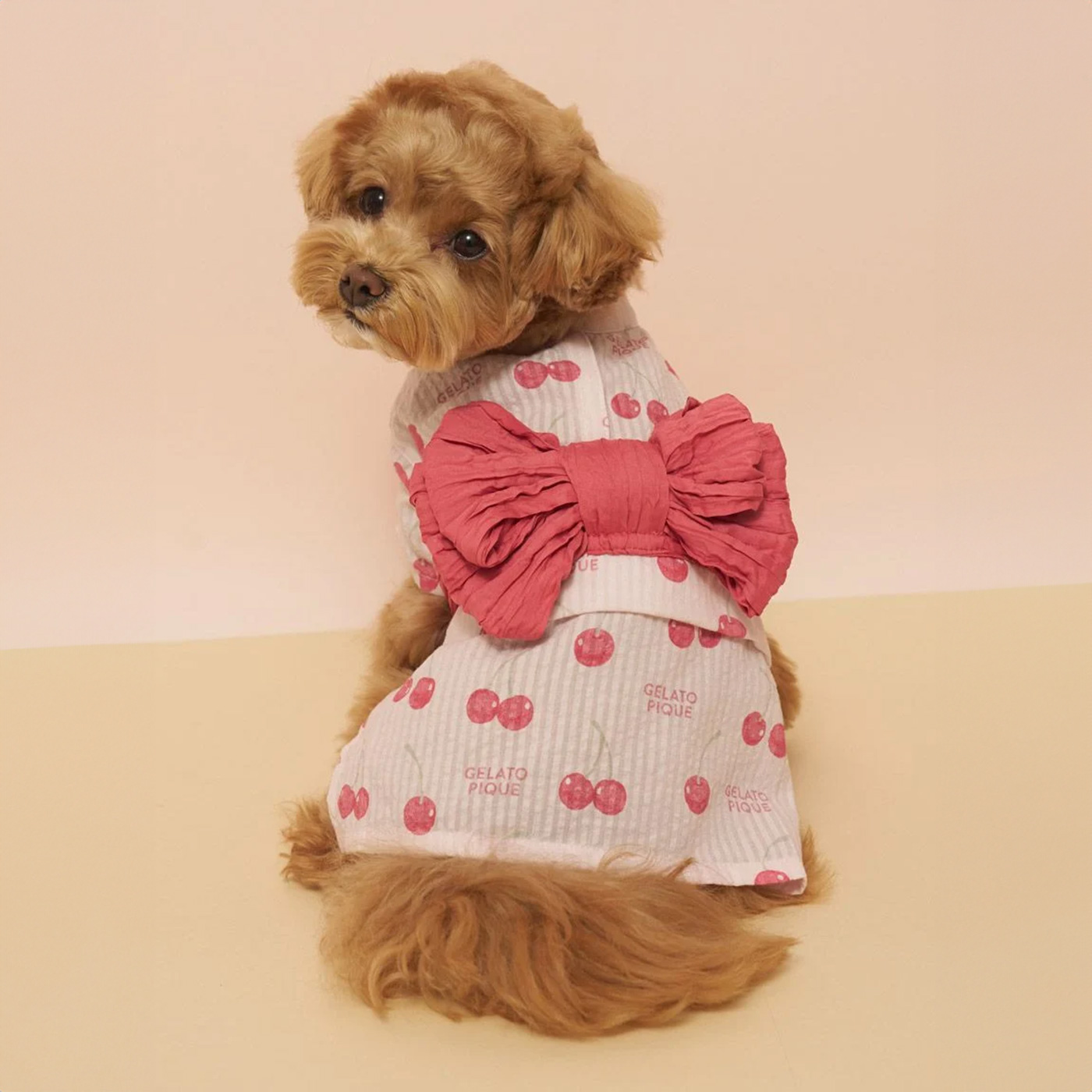 gelato pique（ジェラートピケ） CAT&DOG 浴衣 pagg262570 ジェラピケ