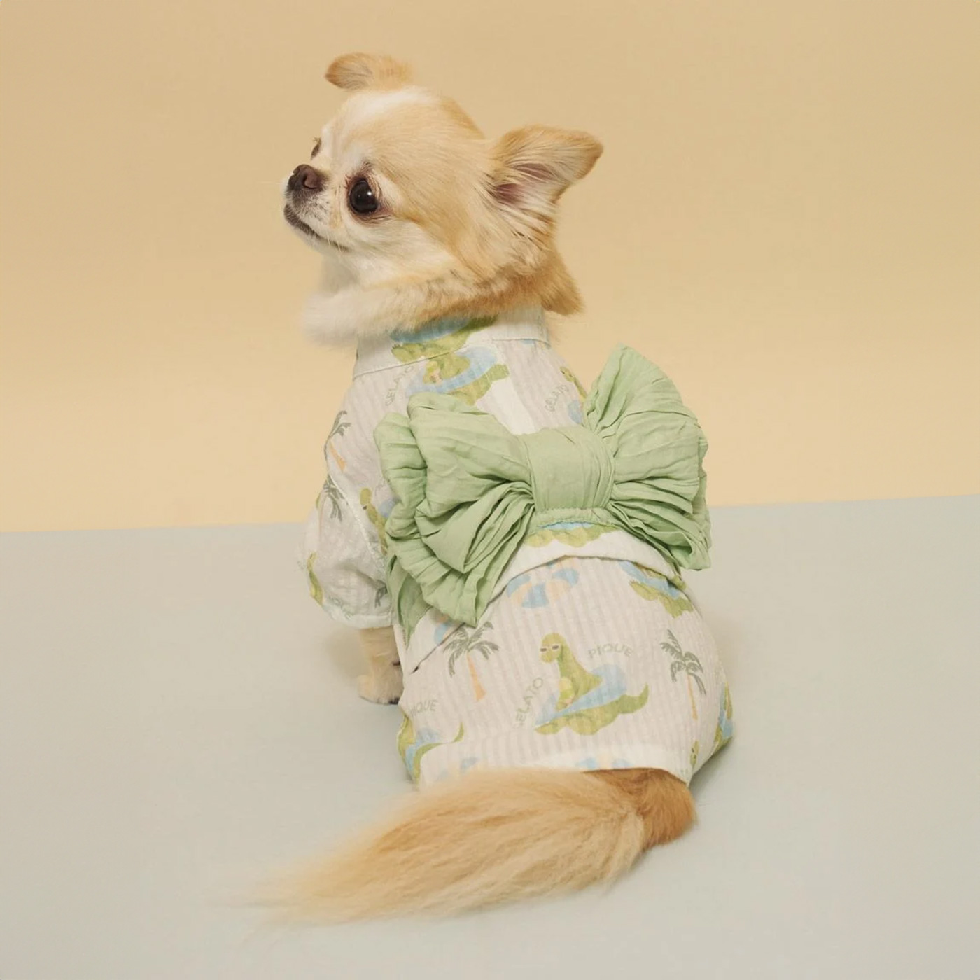gelato pique（ジェラートピケ） CAT&DOG 浴衣 pagg262570 ジェラピケ