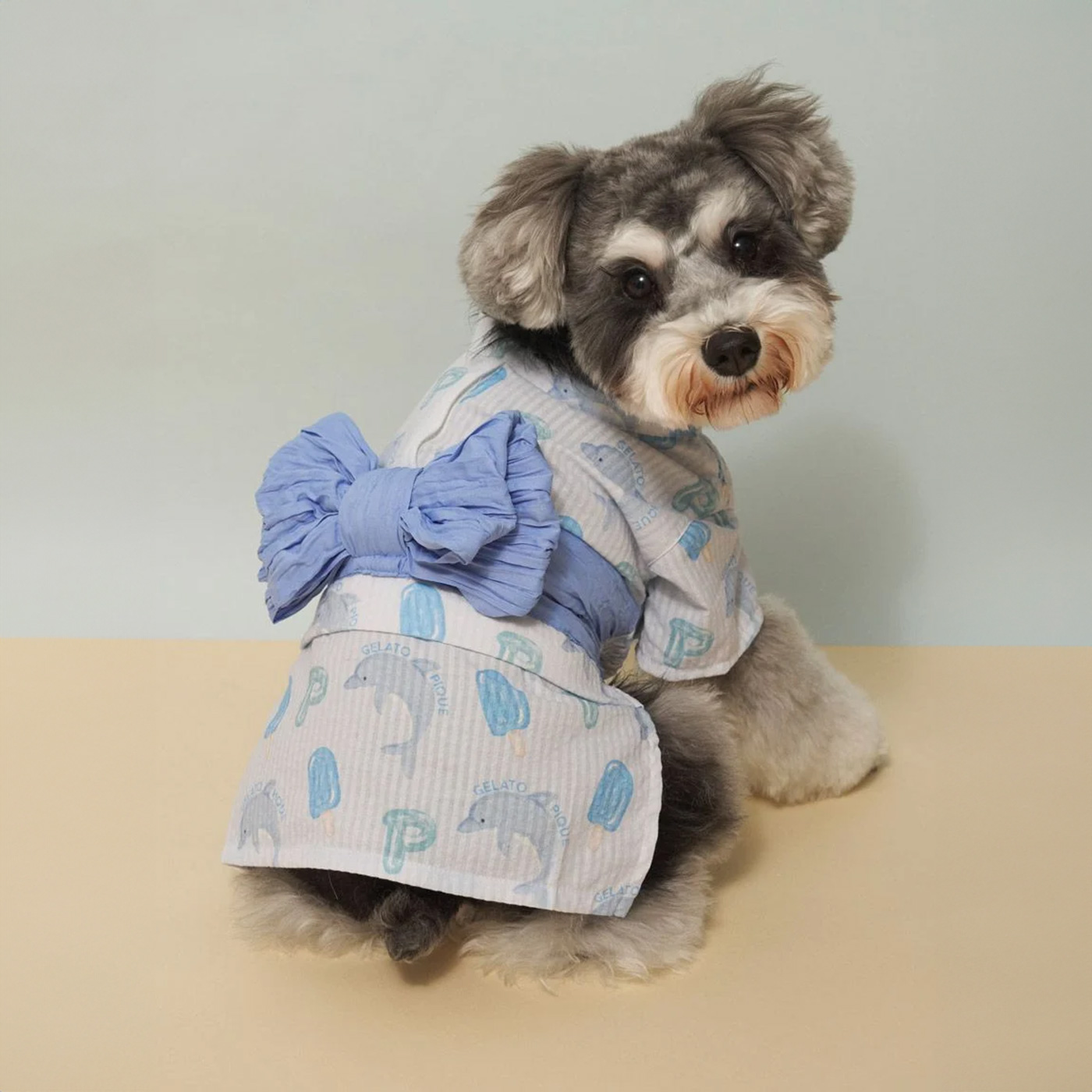 petittiara 犬浴衣 2Sサイズ 新品未使用 gelato pique（ジェラートピケ） CAT&DOG 浴衣 pagg262570 ジェラピケ