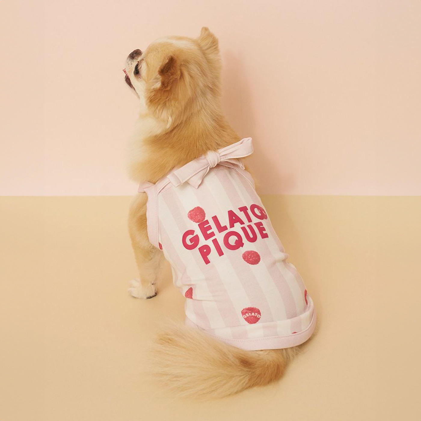 GELATO PIQUE 犬用ハウス ストライプ gelato pique（ジェラートピケ） CAT&DOG 接触冷感 ストライプ柄
