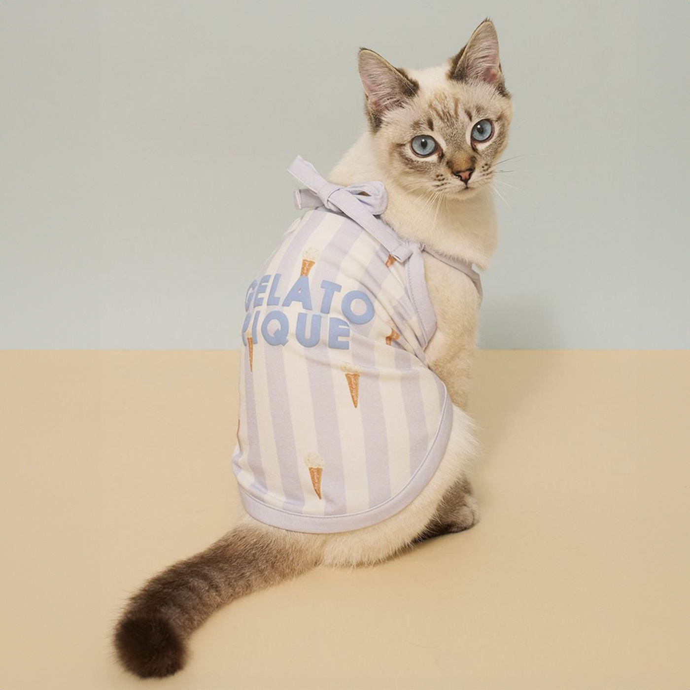 gelato pique（ジェラートピケ） CAT&DOG 接触冷感 ストライプ柄