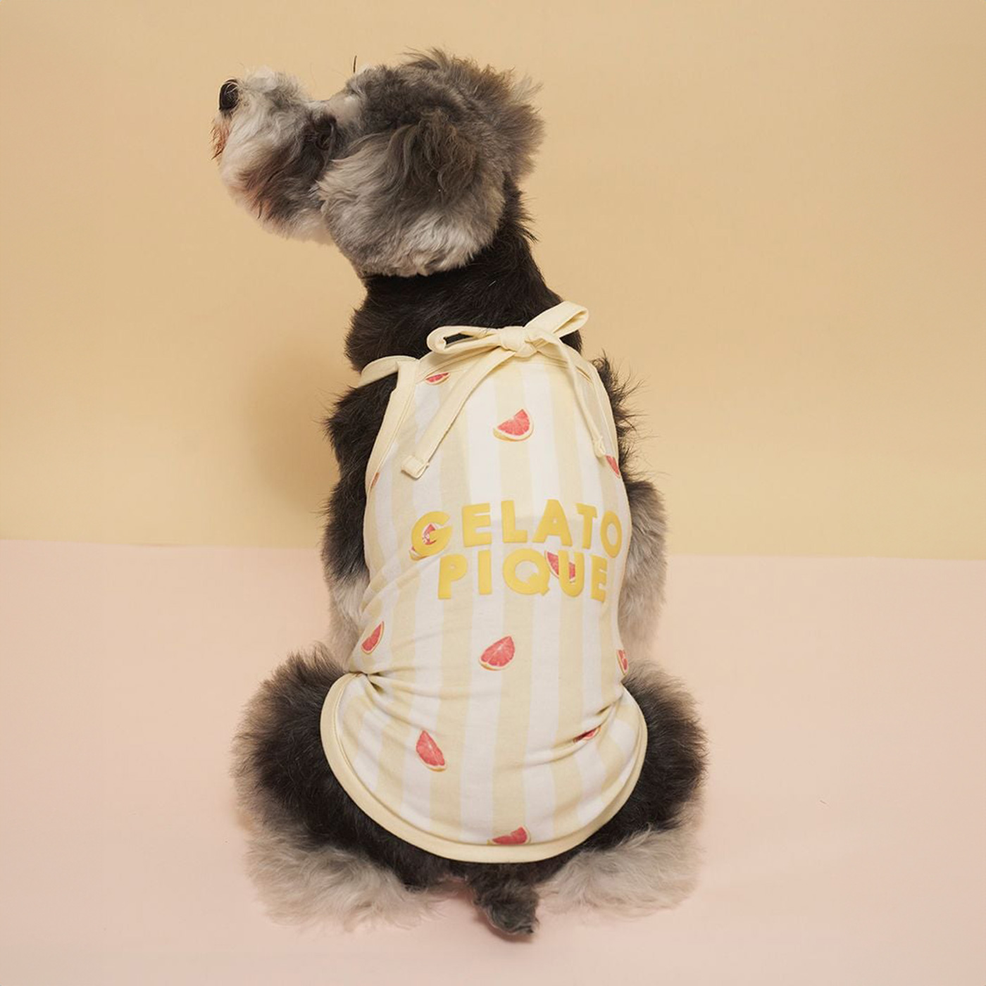 gelato pique（ジェラートピケ） CAT&DOG 接触冷感 ストライプ柄