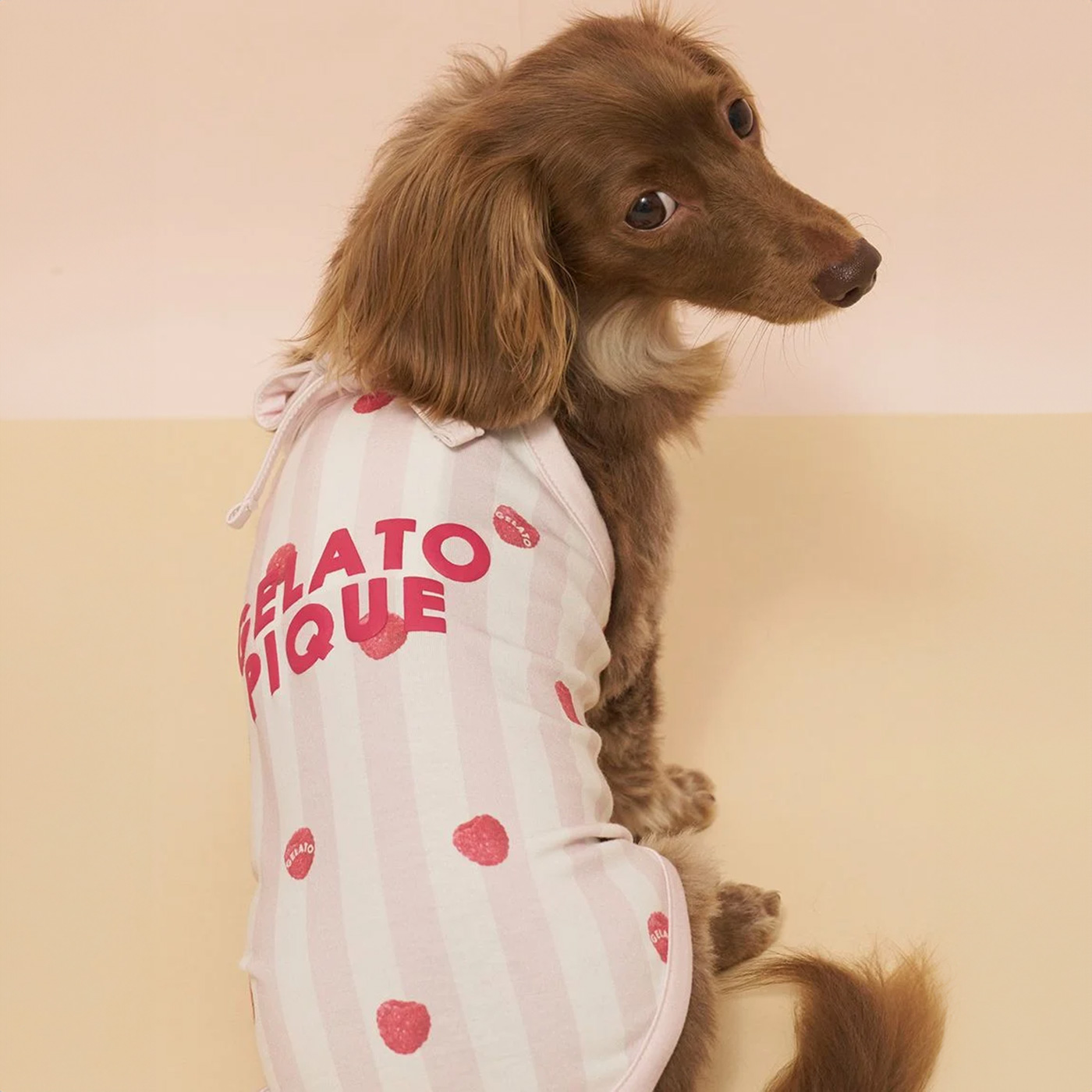 gelato pique（ジェラートピケ） CAT&DOG 接触冷感 ダックスフンド