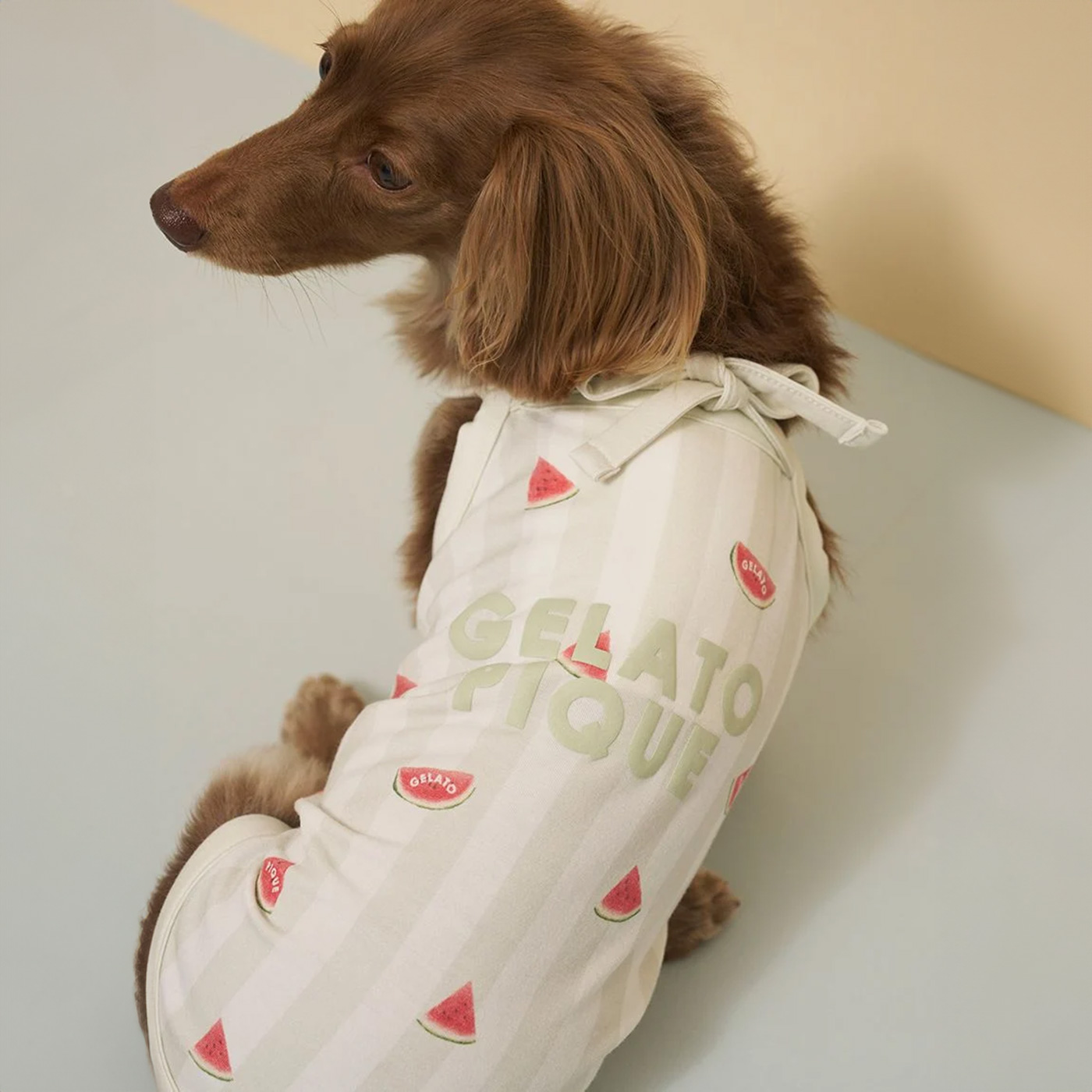 新品未使用【入手困難】ジェラートピケ ペットウェア 先行分 S gelato pique（ジェラートピケ） CAT&DOG 接触冷感 ダックスフンド