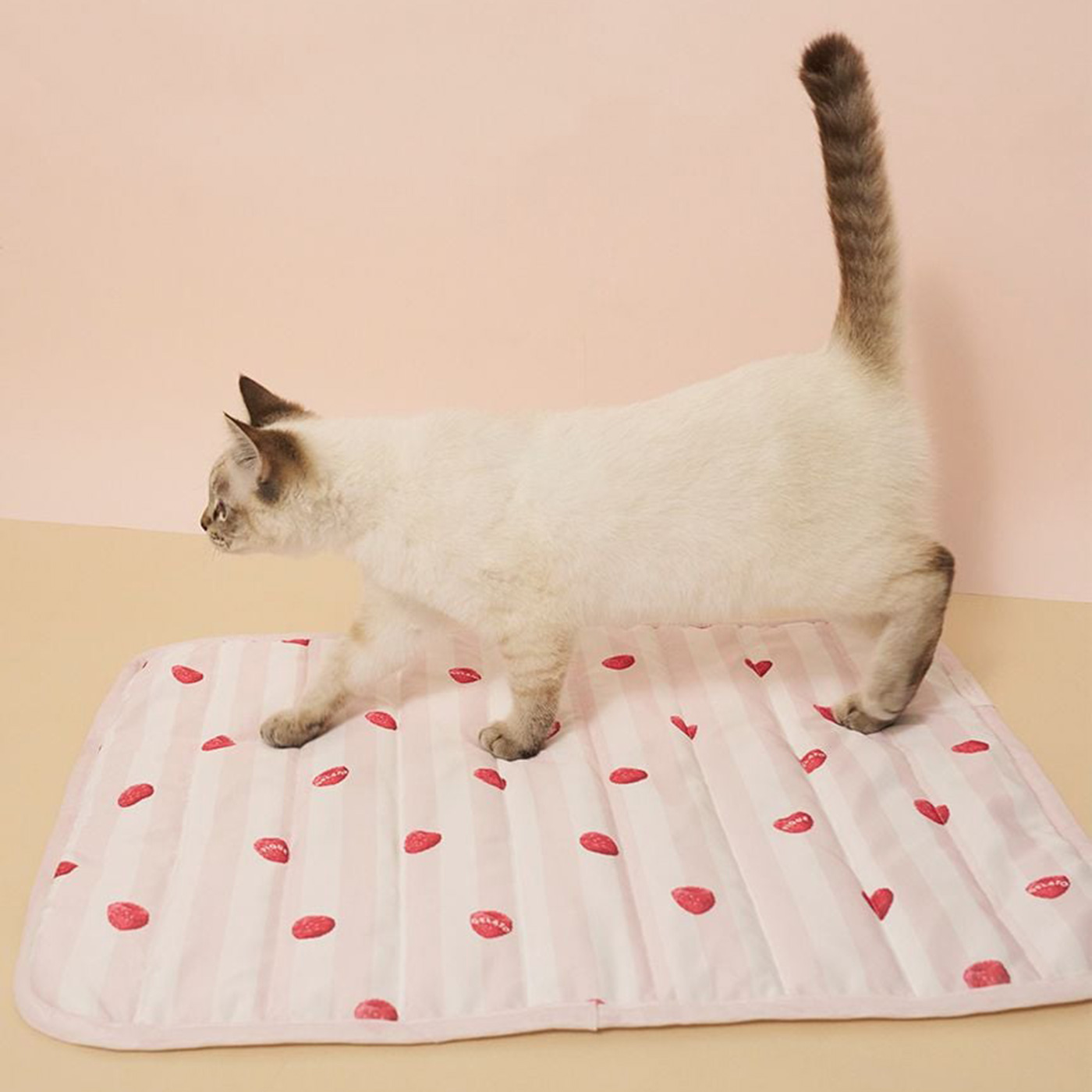 新品未使用 gelato pique ジェラートピケ CAT＆DOG 犬 猫 ジェラートピケ 初の犬猫用アイテムの新ラインが登場。 │ QUI