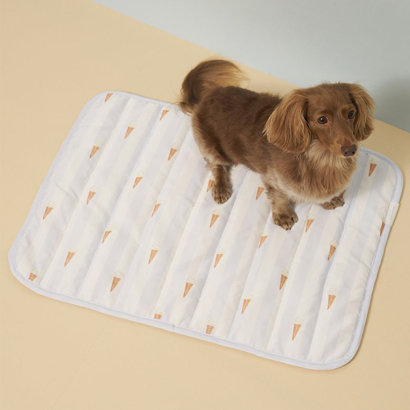 gelato pique（ジェラートピケ） SALE30%OFF CAT&DOG 接触冷感 Cooling