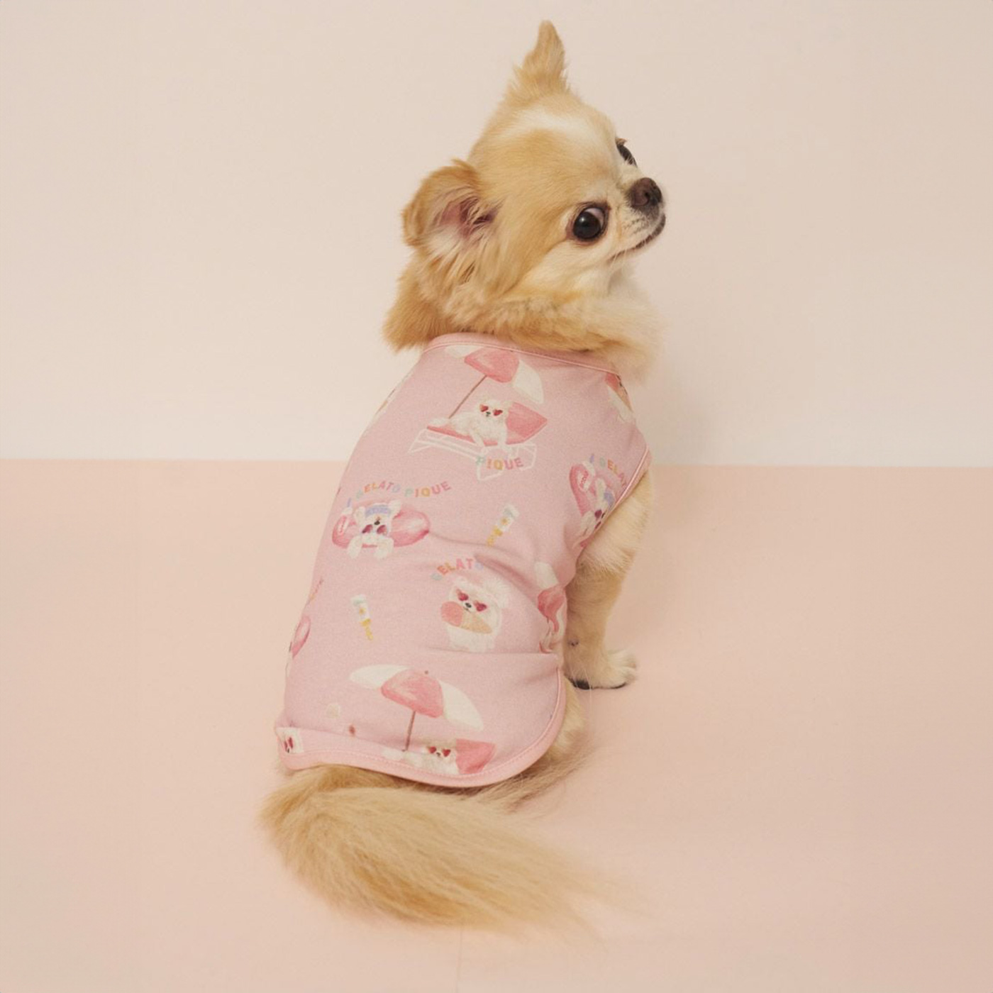 gelato pique（ジェラートピケ） CAT&DOG 接触冷感 ビーチ マルチーズ