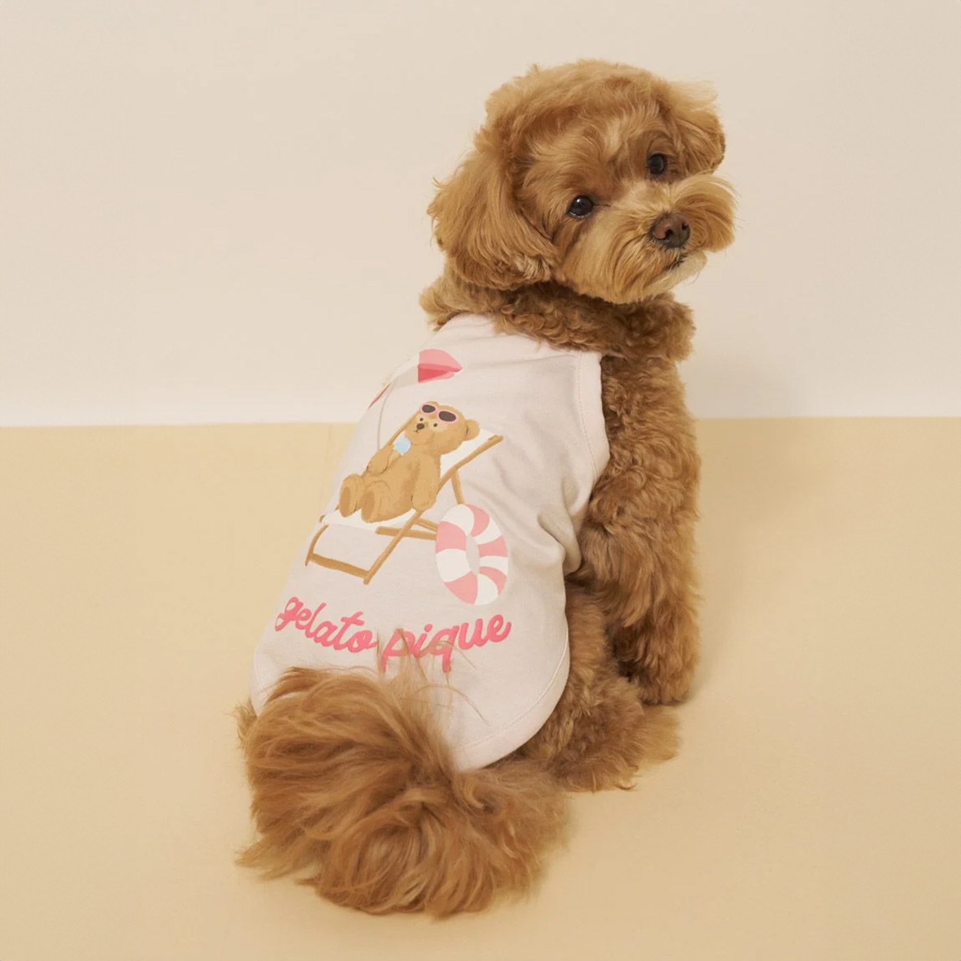 gelato pique（ジェラートピケ） CAT&DOG 接触冷感 サマーベア柄プル
