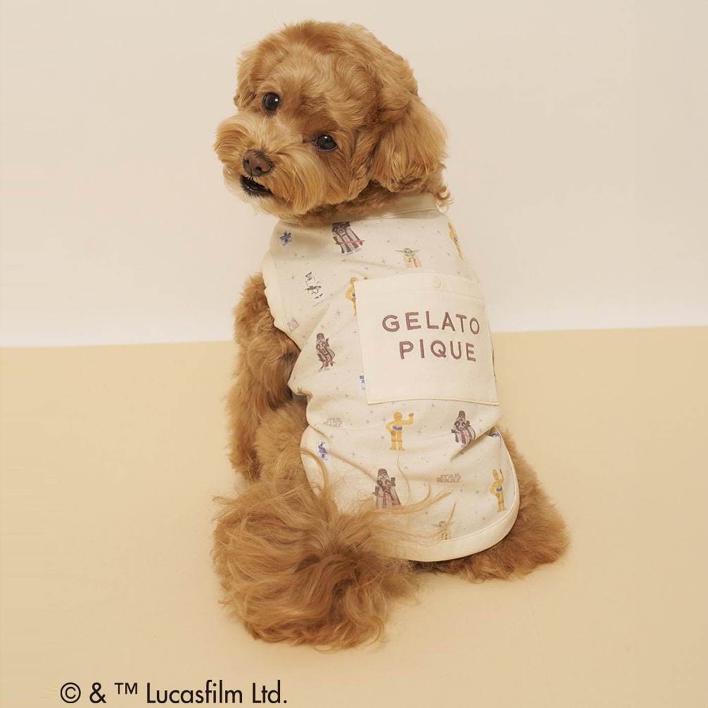 gelato pique（ジェラートピケ） CAT&DOG STAR WARS クーリング