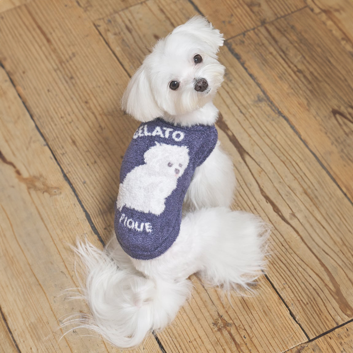 gelato pique（ジェラートピケ） CAT&DOG スムーズィーマルチーズ柄