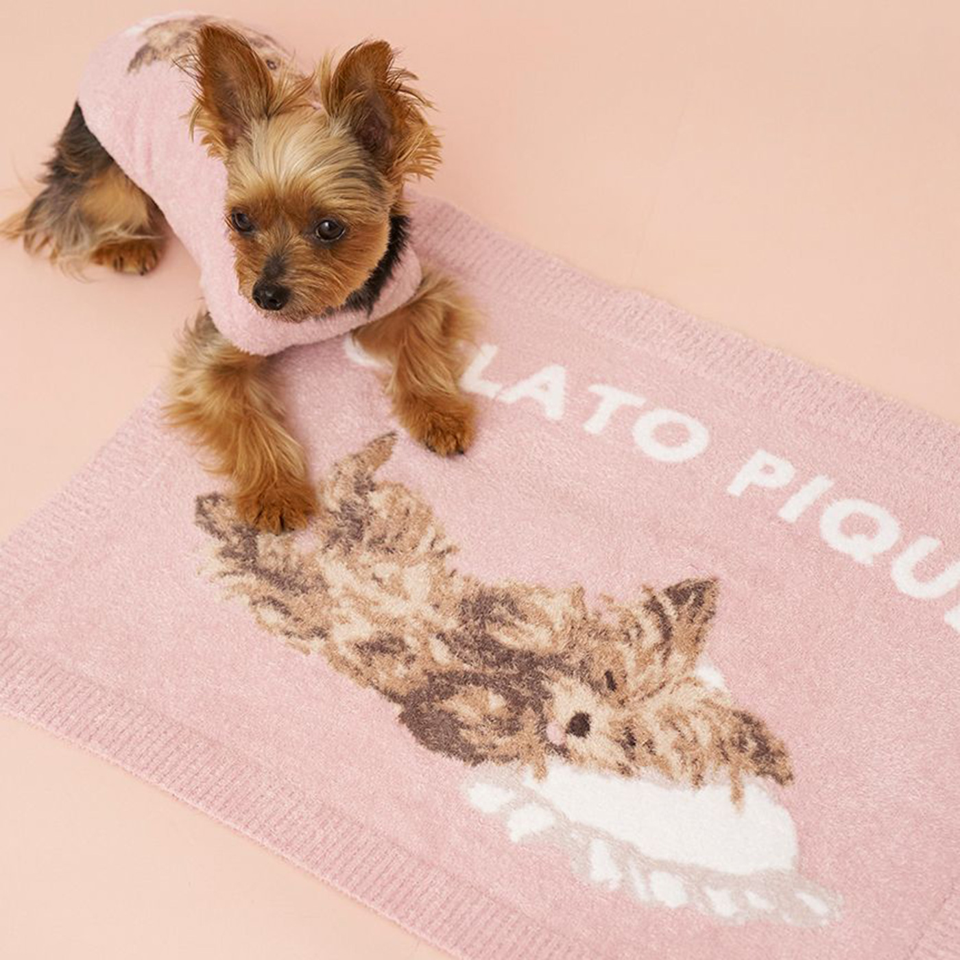 gelato pique（ジェラートピケ） CAT&DOG ヨークシャーテリア柄