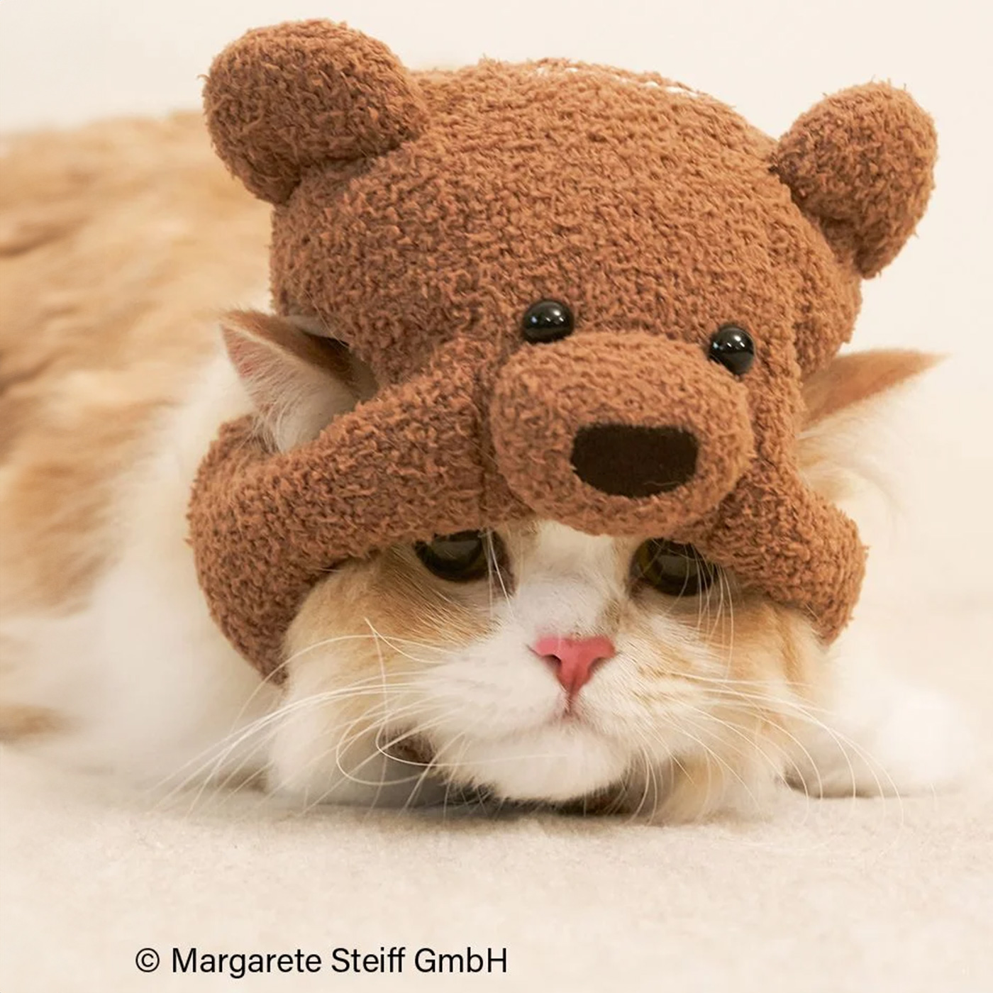 gelato pique（ジェラートピケ） CAT&DOG Steiff ニットキャップ