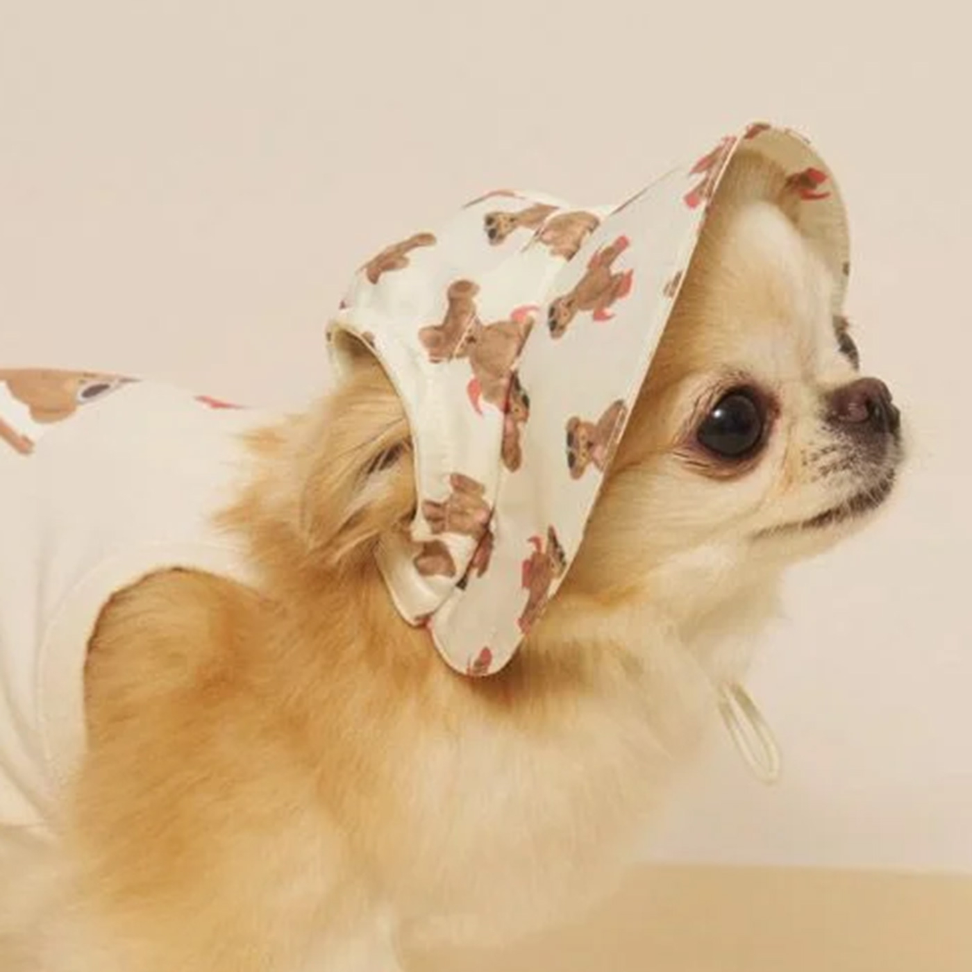 犬用帽子 iDog AQUA HOLD ひんやりアクティブハット アイドッグ : iDog - 通販