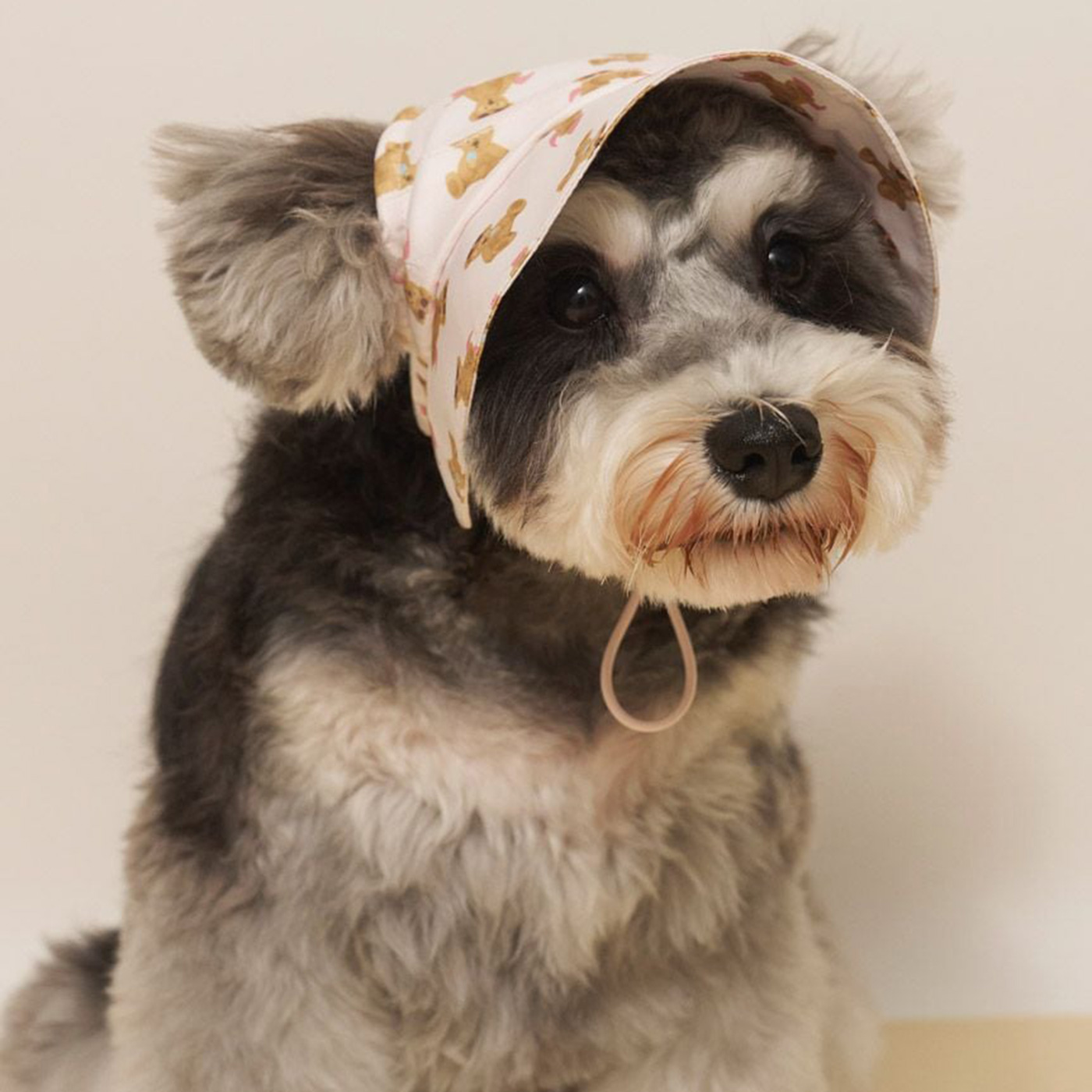 クー・ドゥ・ピエ　coup de pied　ロマンティックな麦わら帽子　犬柄 gelato pique（ジェラートピケ） CAT&DOG サマーベア柄ハット