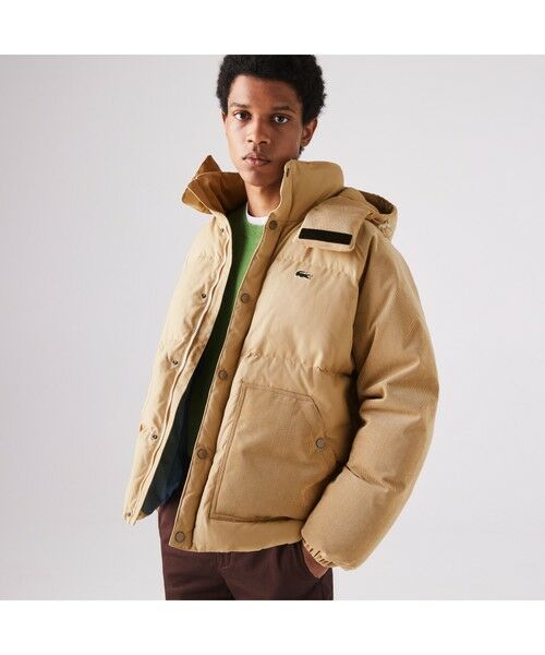 LACOSTE / ラコステ LACOSTE L!VE フードダウンジャケット