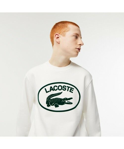 ラコステ　トレーナー LACOSTE / ラコステ 【EC限定】フロッキーオーバルクロック