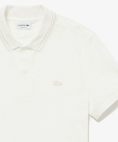 LACOSTE ストライプポロシャツ 日本製 楽天市場】【SALE／50%OFF】ストライプリブポロシャツ (半袖
